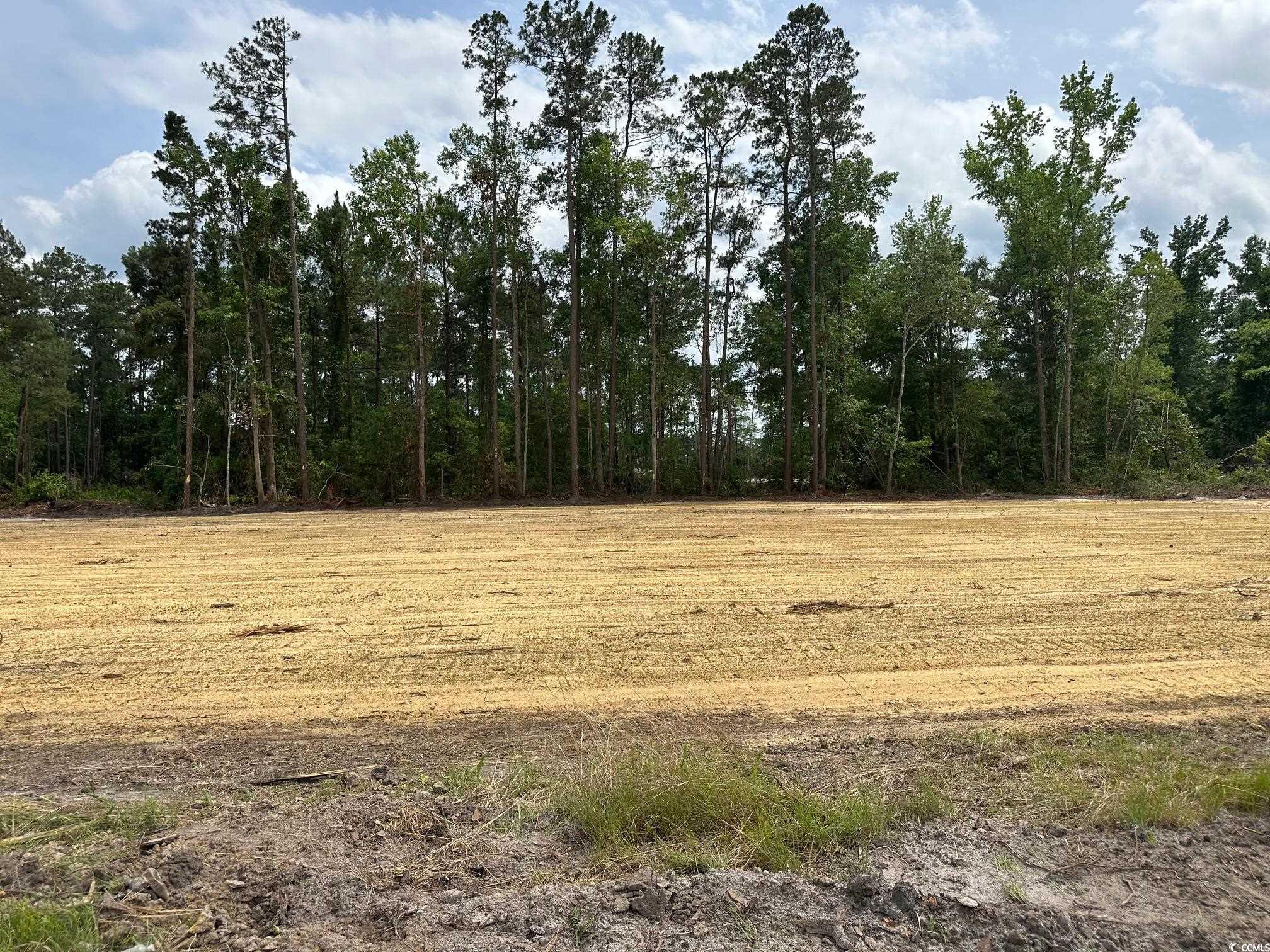 TBD 3 Saint John Rd., Galivants Ferry, South Carolina image 2