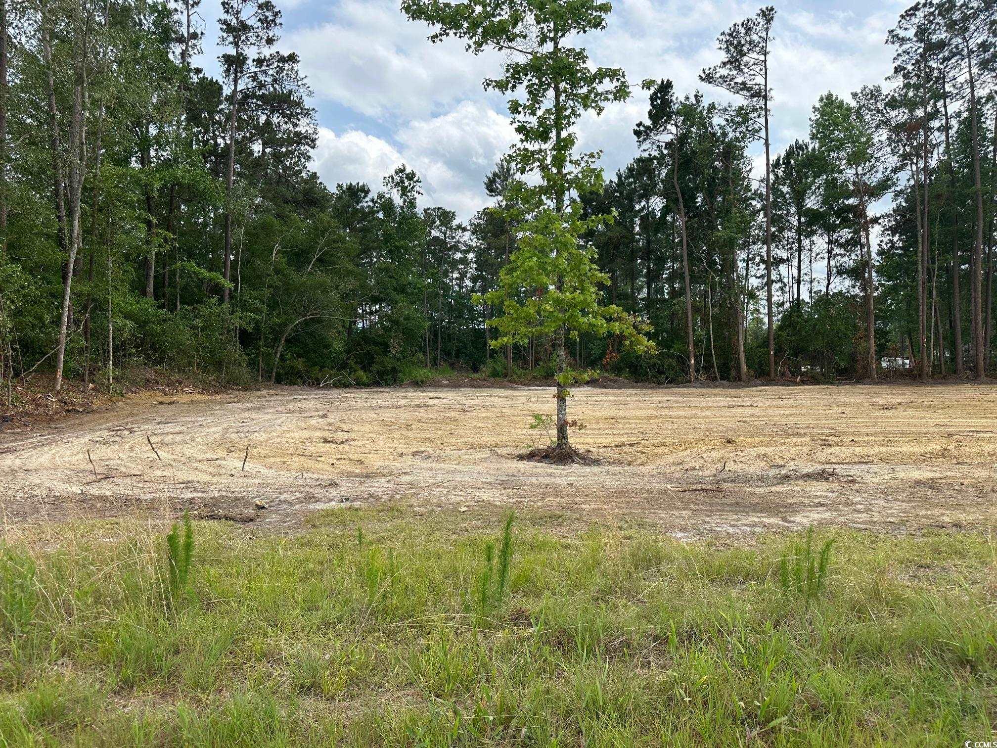 TBD 1 Saint John Rd., Galivants Ferry, South Carolina image 1