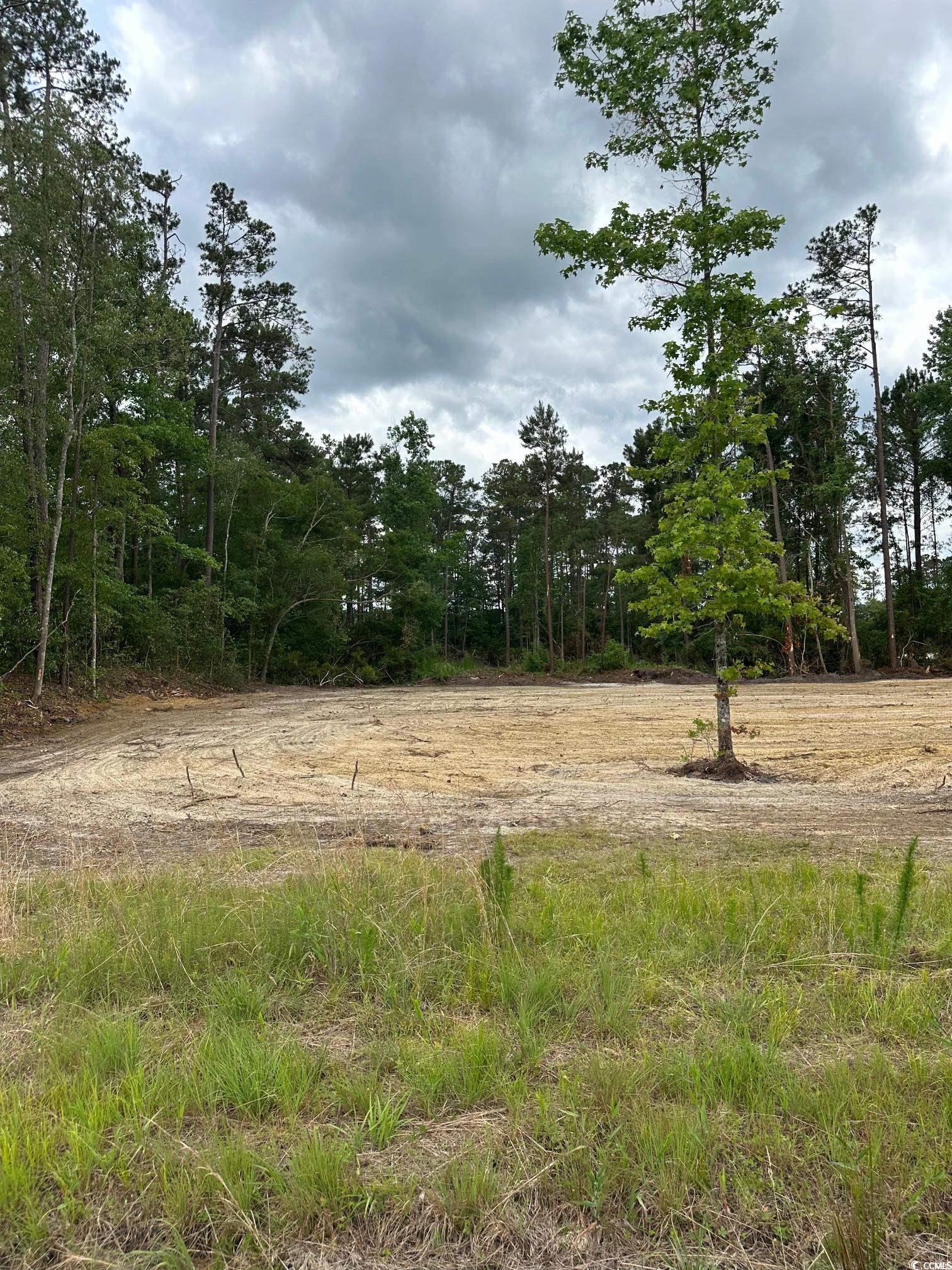 TBD 1 Saint John Rd., Galivants Ferry, South Carolina image 2