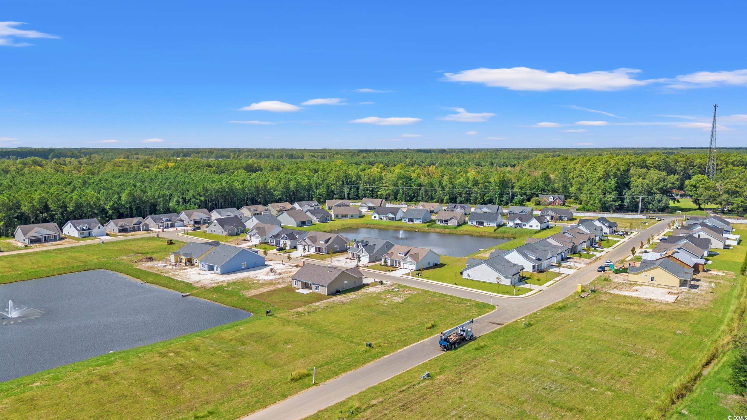 3301 Little Bay Dr., Conway, South Carolina image 20