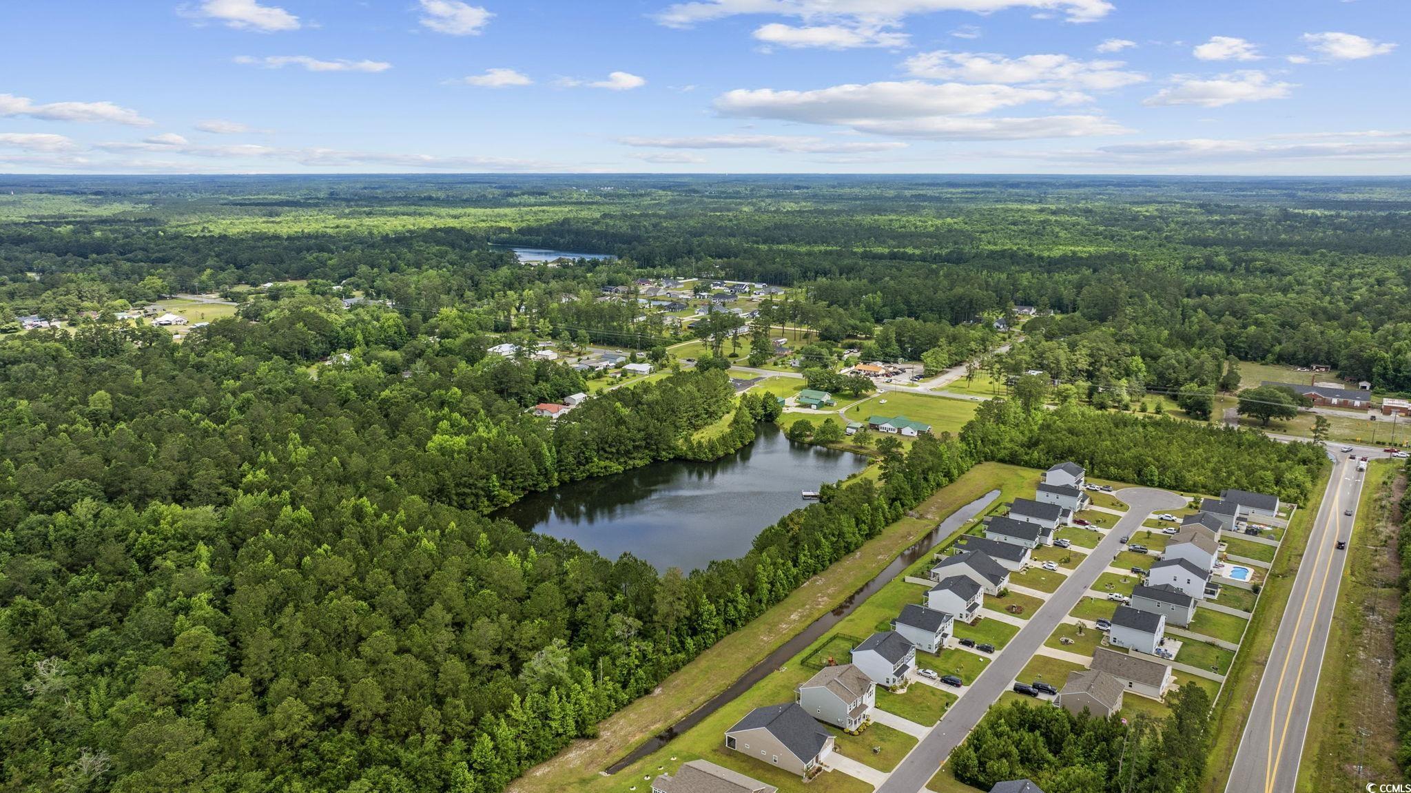 1342 Highway 90, Conway, South Carolina image 6