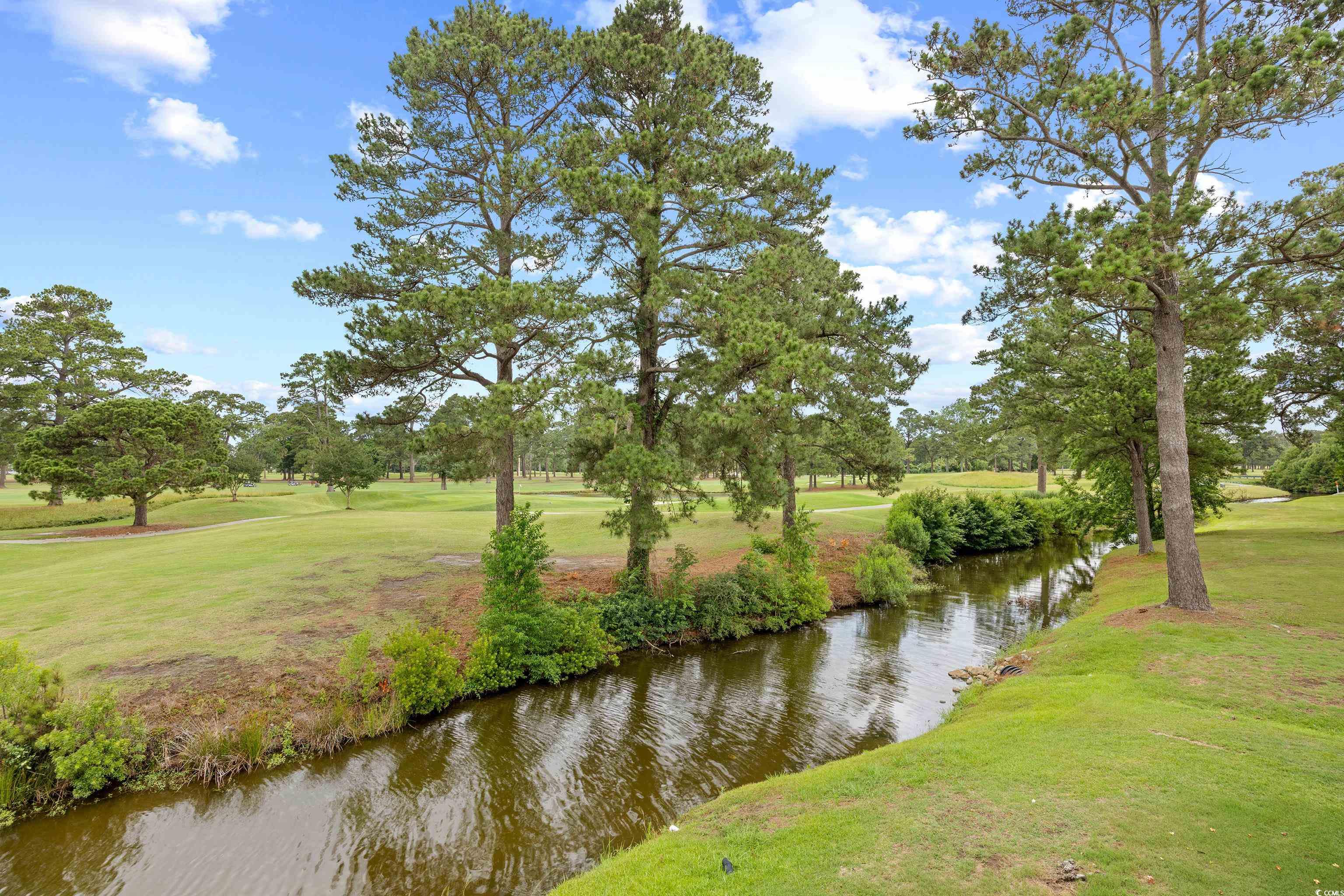 4767 Wild Iris Dr. #203, Myrtle Beach, South Carolina image 30