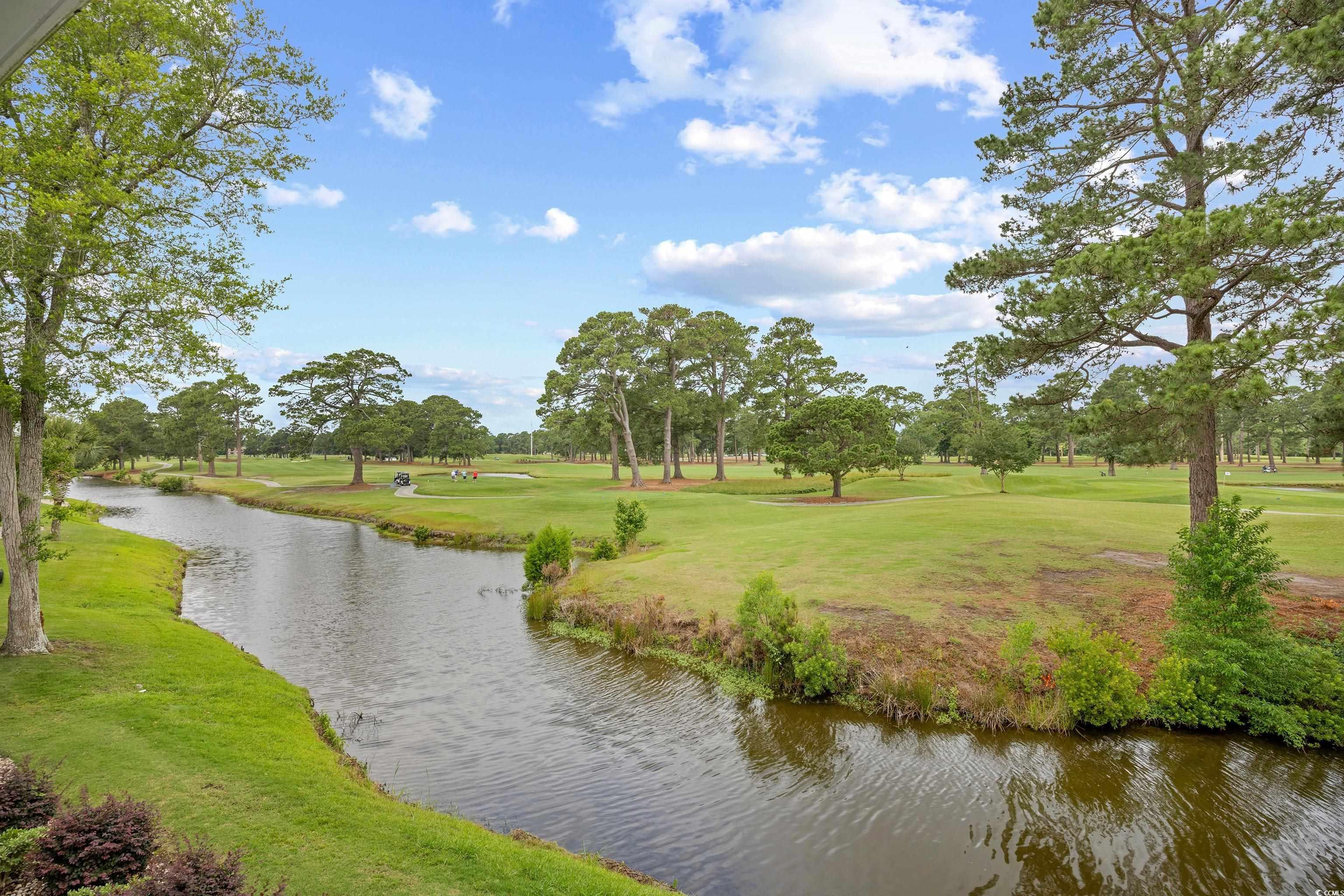4767 Wild Iris Dr. #203, Myrtle Beach, South Carolina image 31