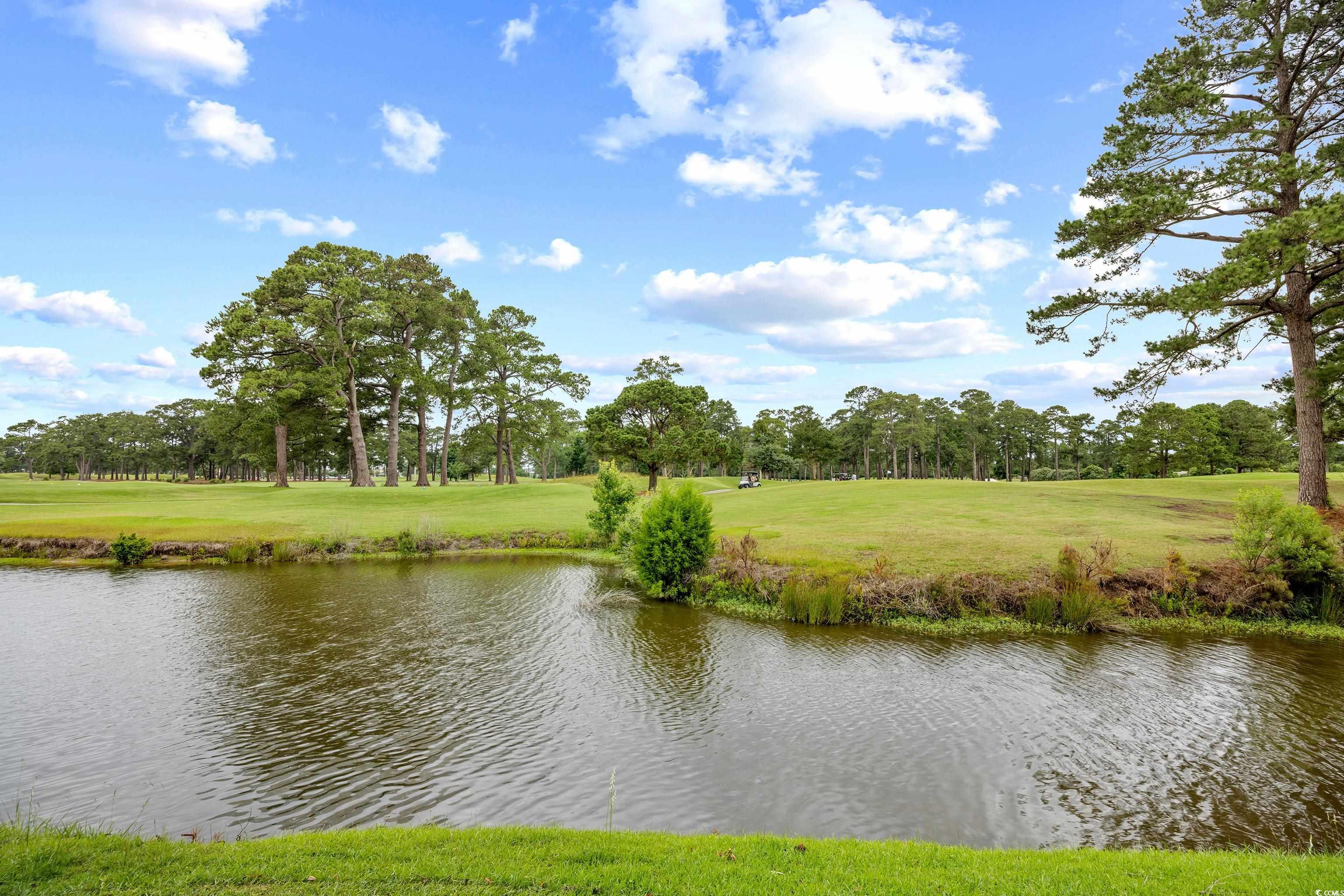 4767 Wild Iris Dr. #203, Myrtle Beach, South Carolina image 33