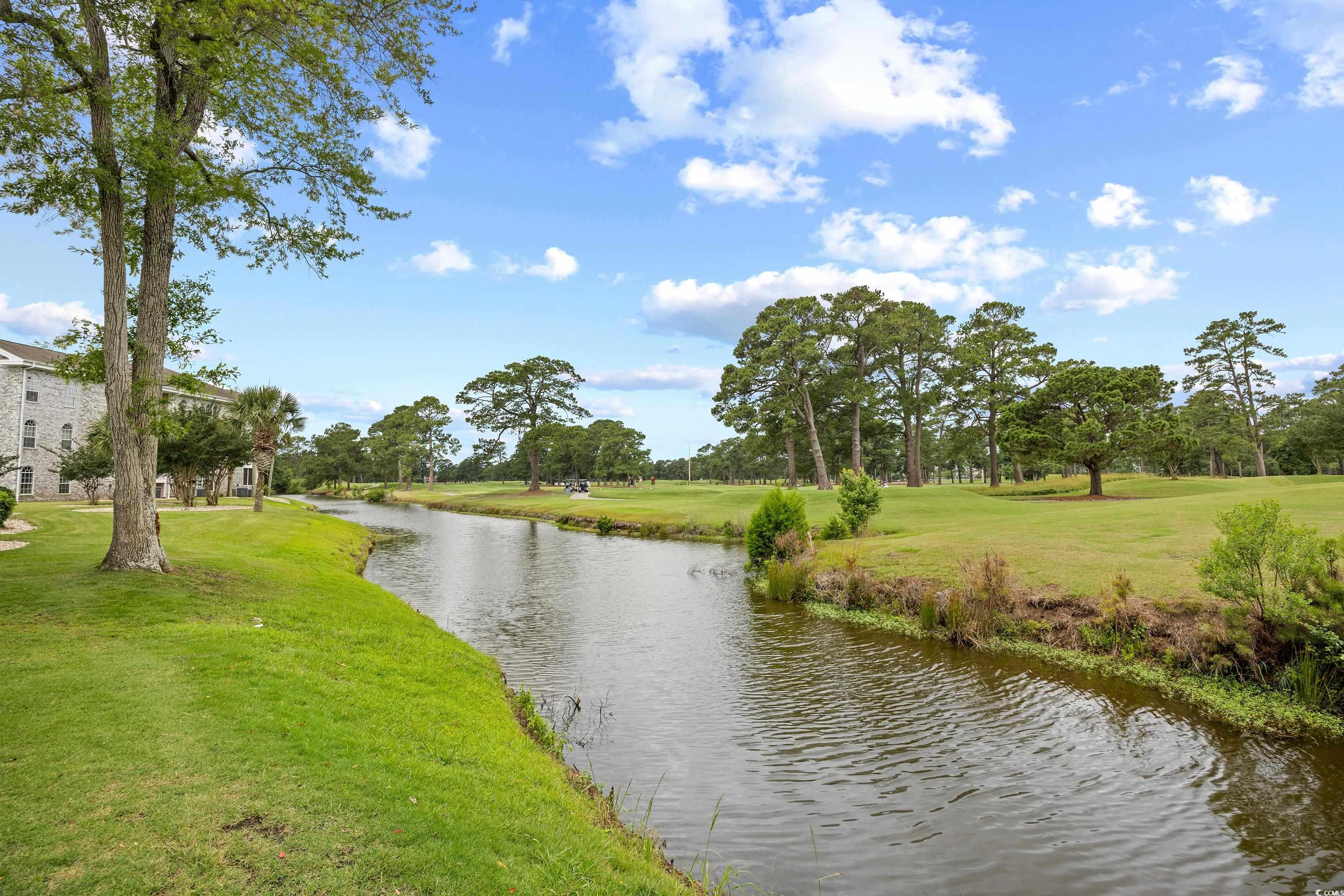 4767 Wild Iris Dr. #203, Myrtle Beach, South Carolina image 34