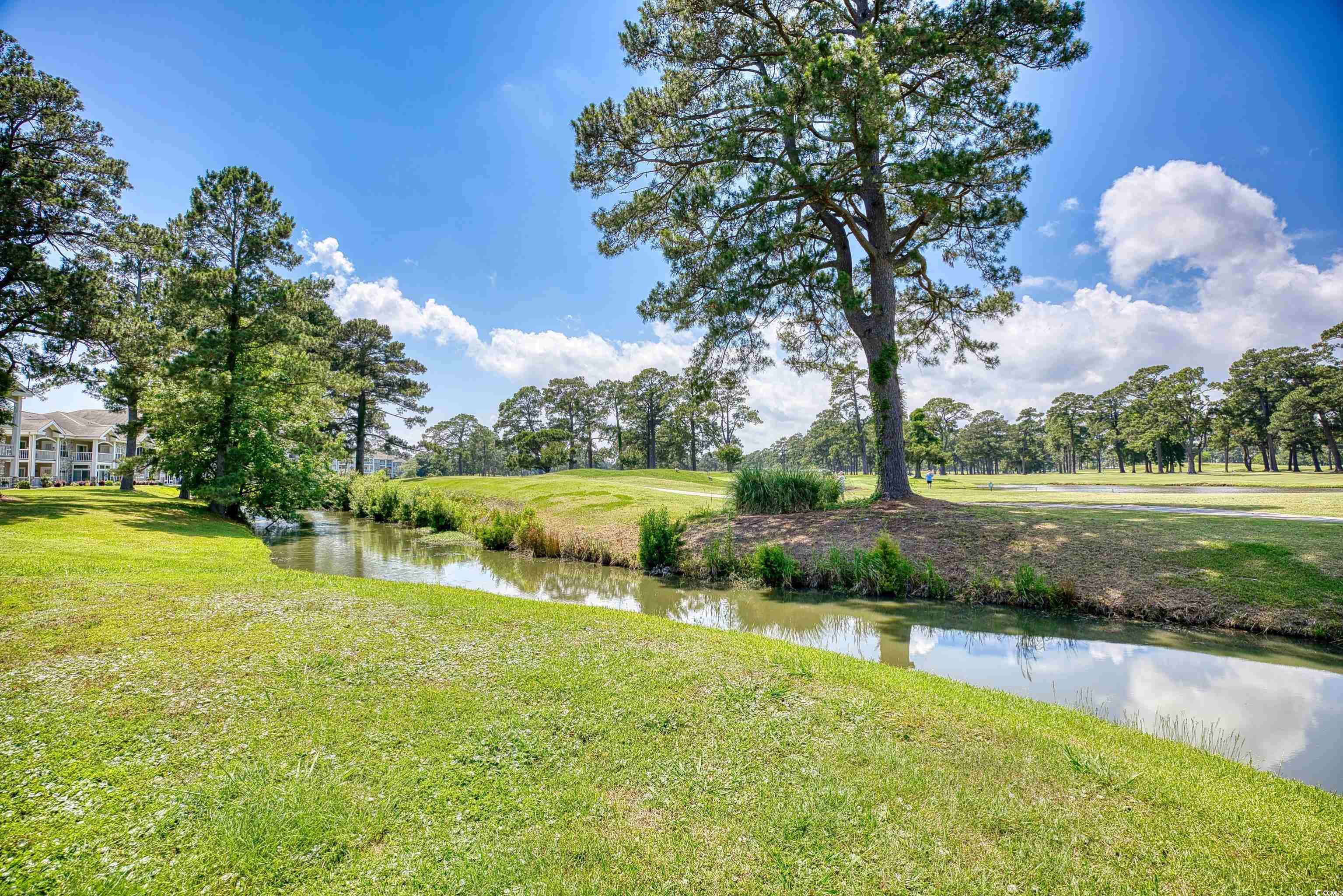 4767 Wild Iris Dr. #203, Myrtle Beach, South Carolina image 36