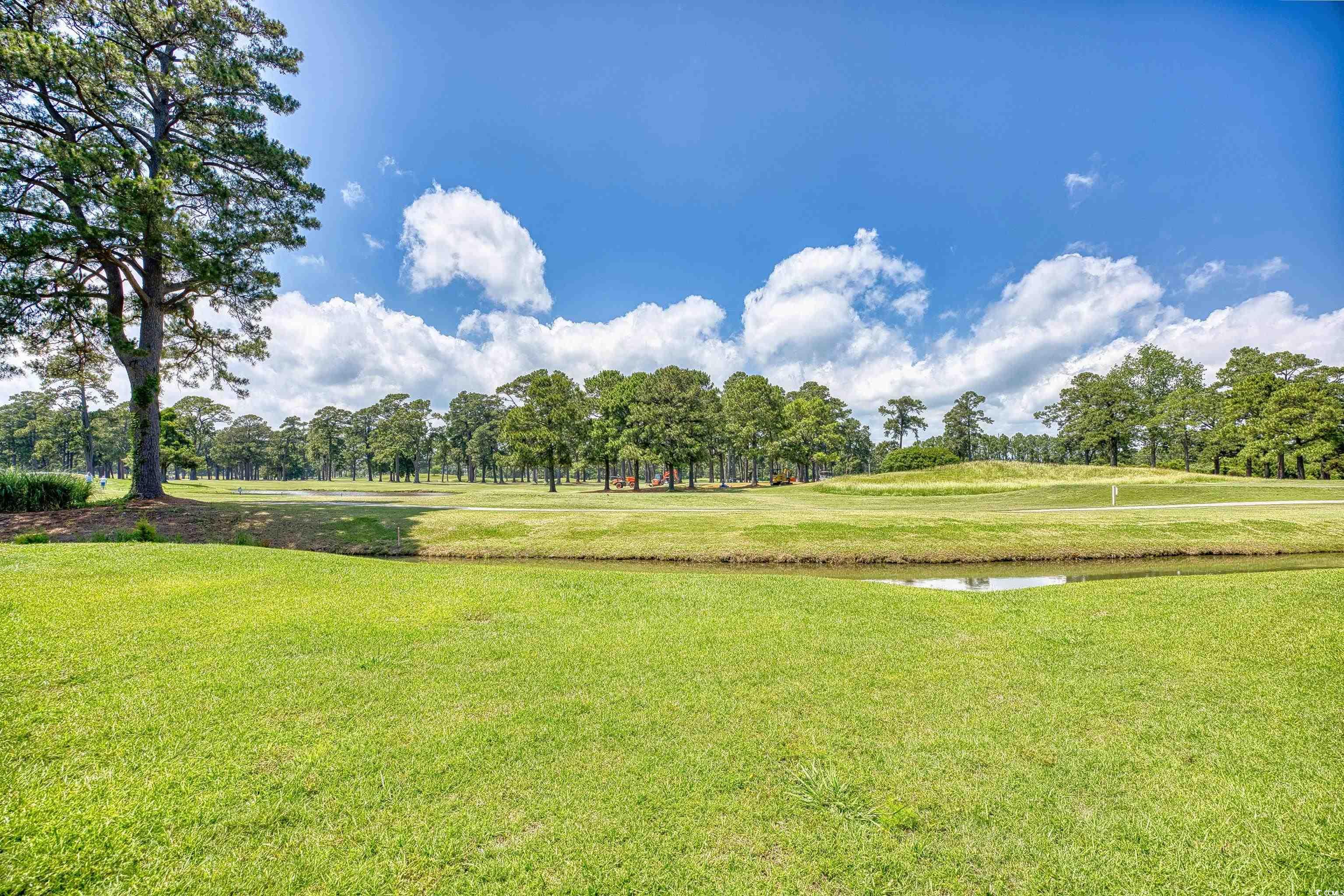 4767 Wild Iris Dr. #203, Myrtle Beach, South Carolina image 37