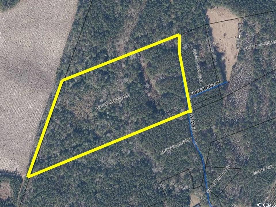 TBD Thatchpalm Ct., Georgetown, South Carolina image 1