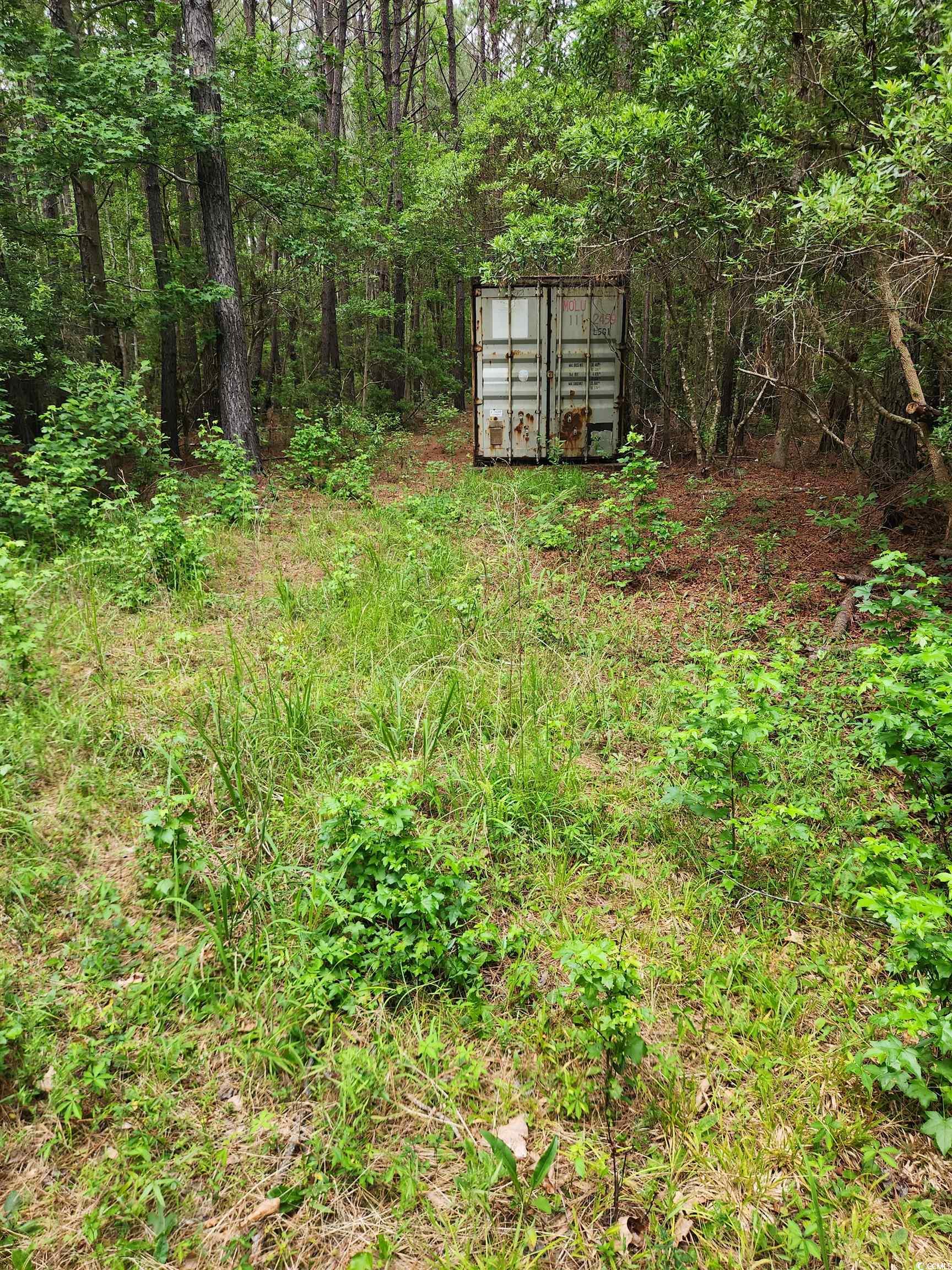 TBD Thatchpalm Ct., Georgetown, South Carolina image 3