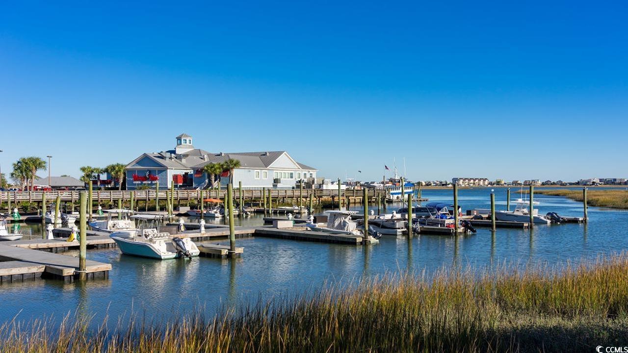 161 Stride Ct., Myrtle Beach, South Carolina image 34