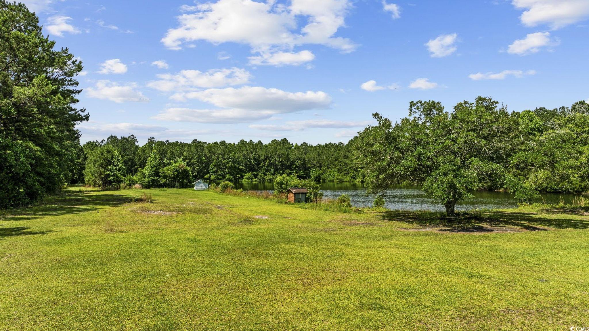 1342 Highway 90, Conway, South Carolina image 1