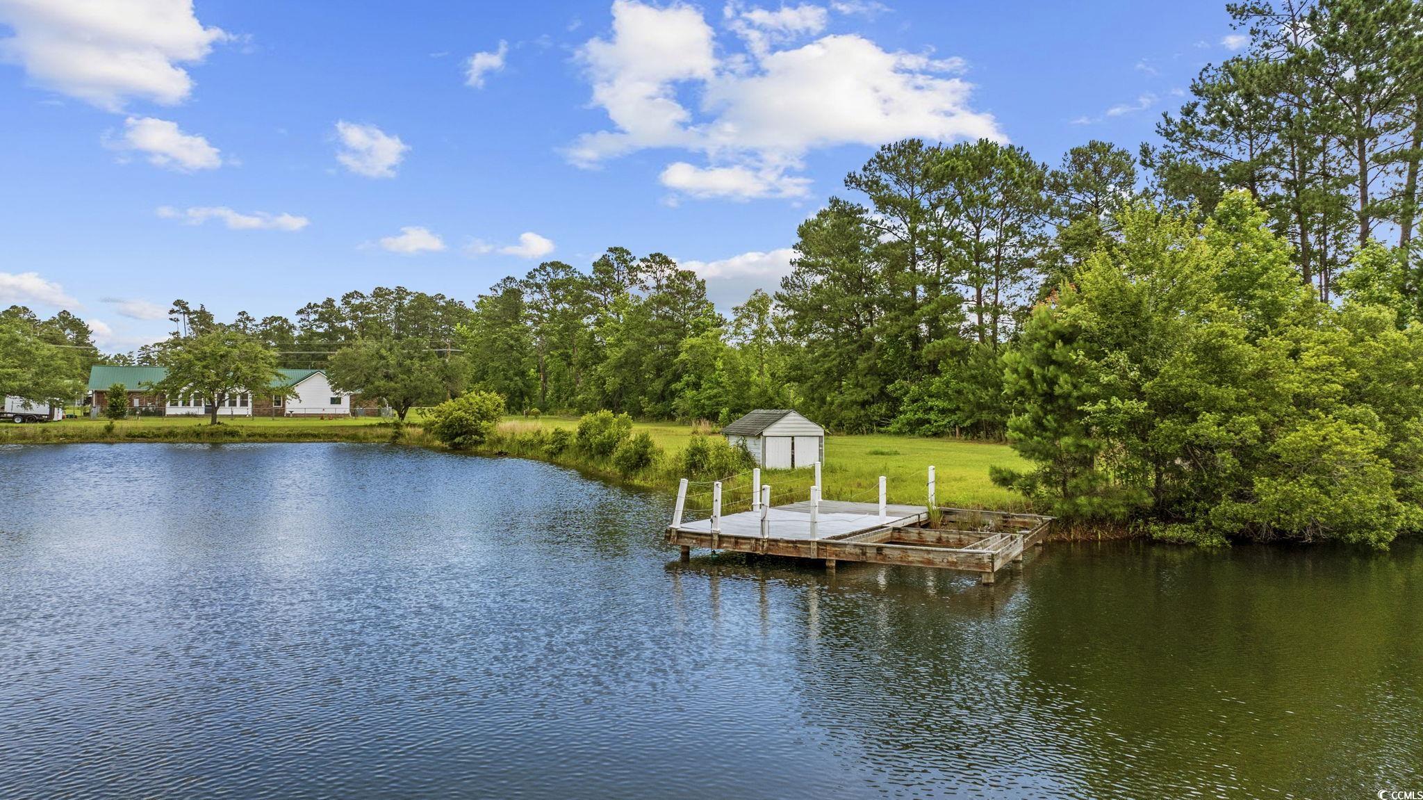 1342 Highway 90, Conway, South Carolina image 16