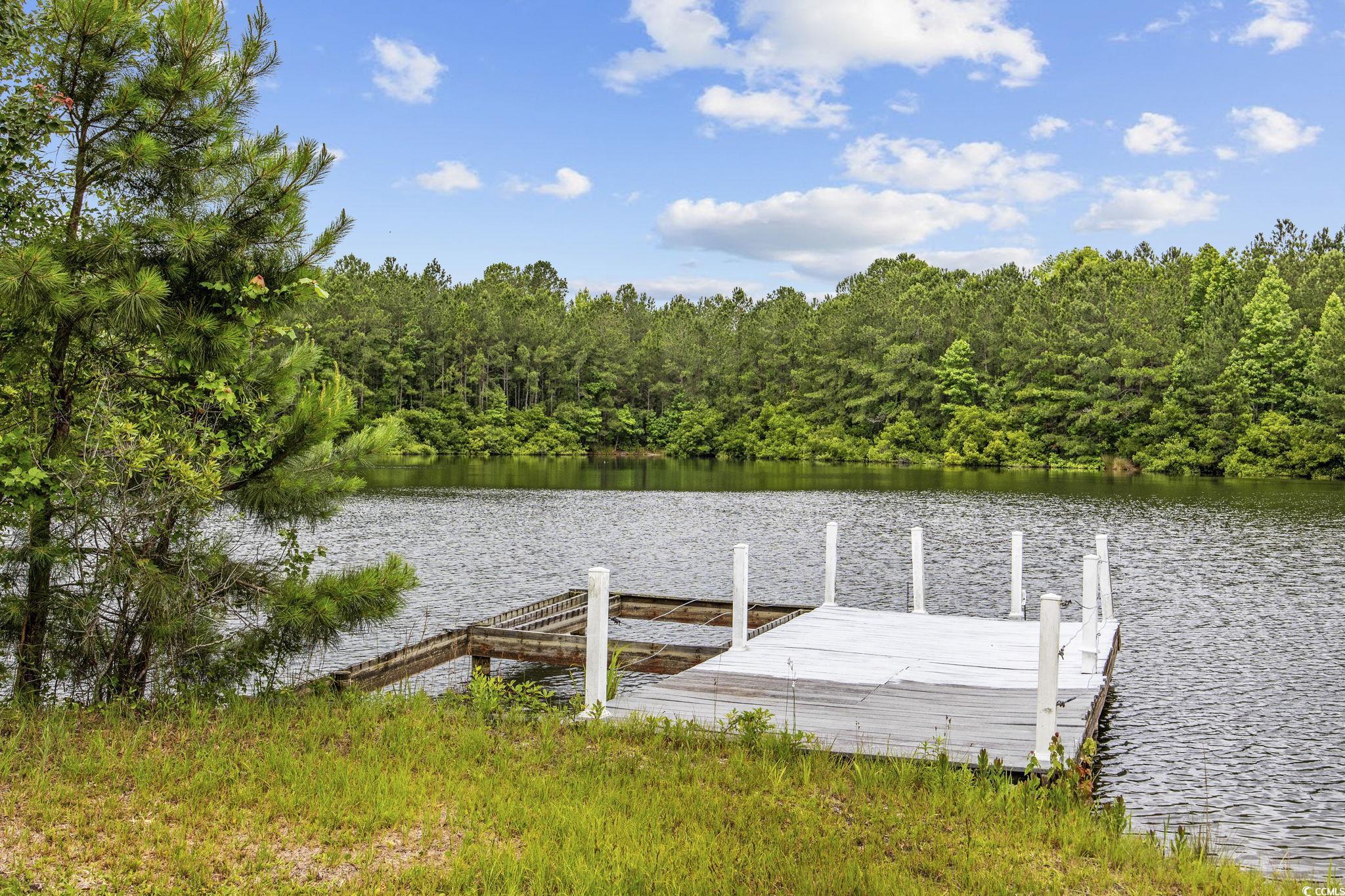 1342 Highway 90, Conway, South Carolina image 3