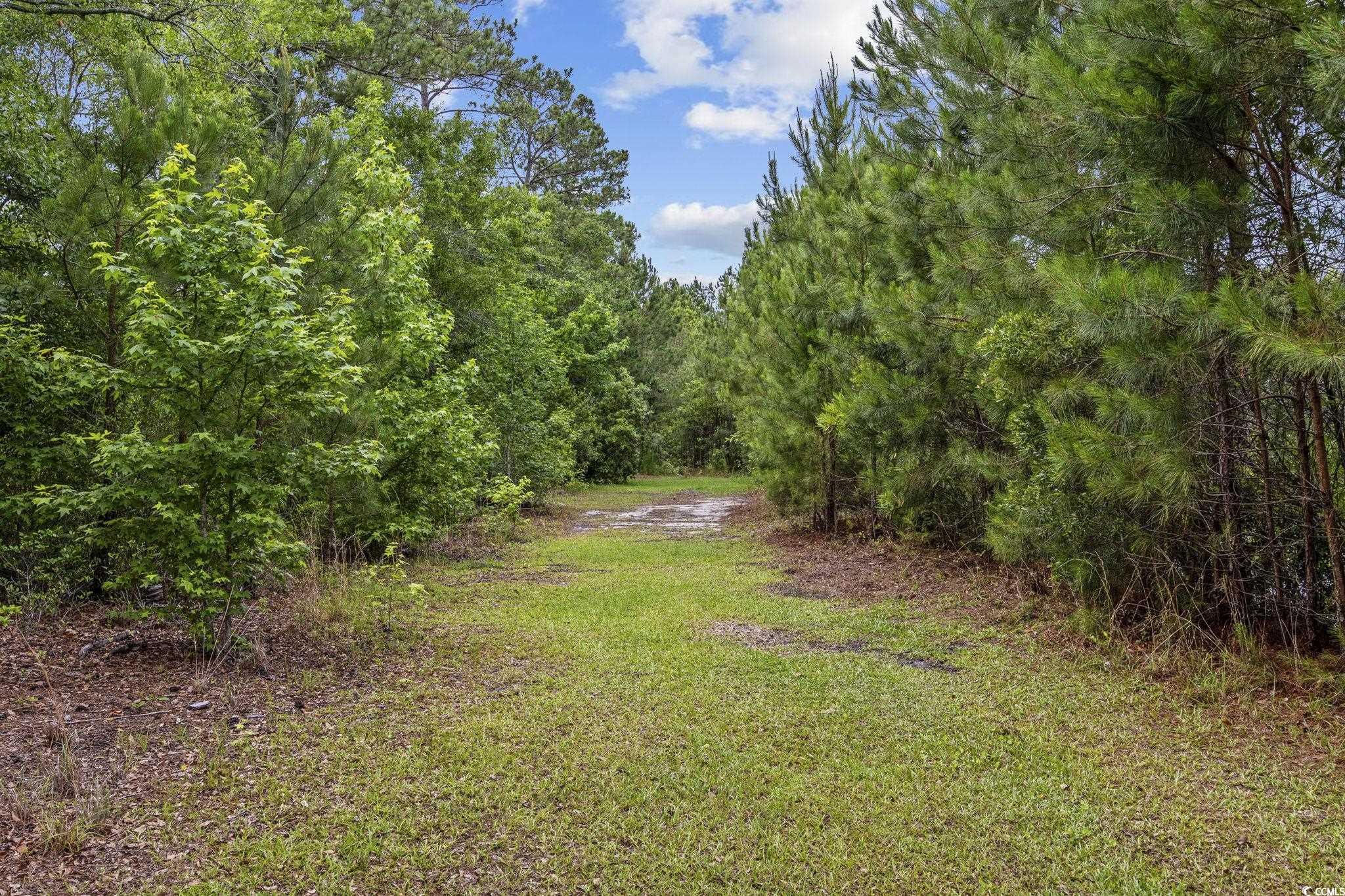1342 Highway 90, Conway, South Carolina image 6