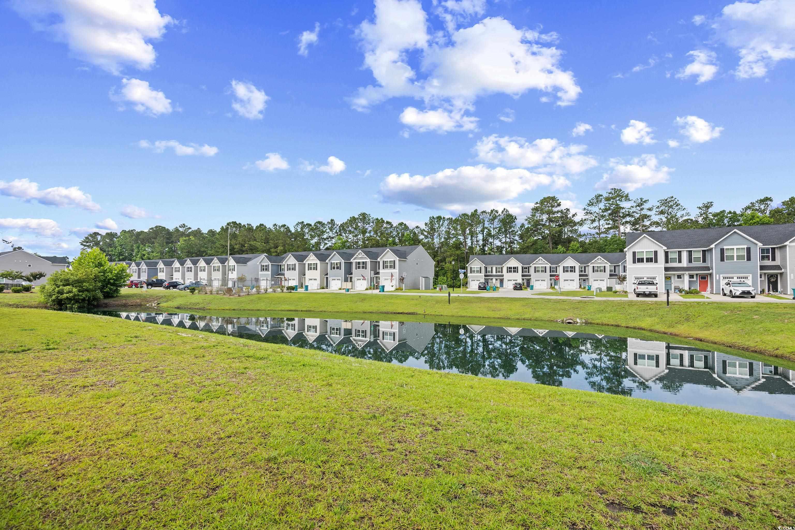 238 Christiana Ln. #C, Myrtle Beach, South Carolina image 33