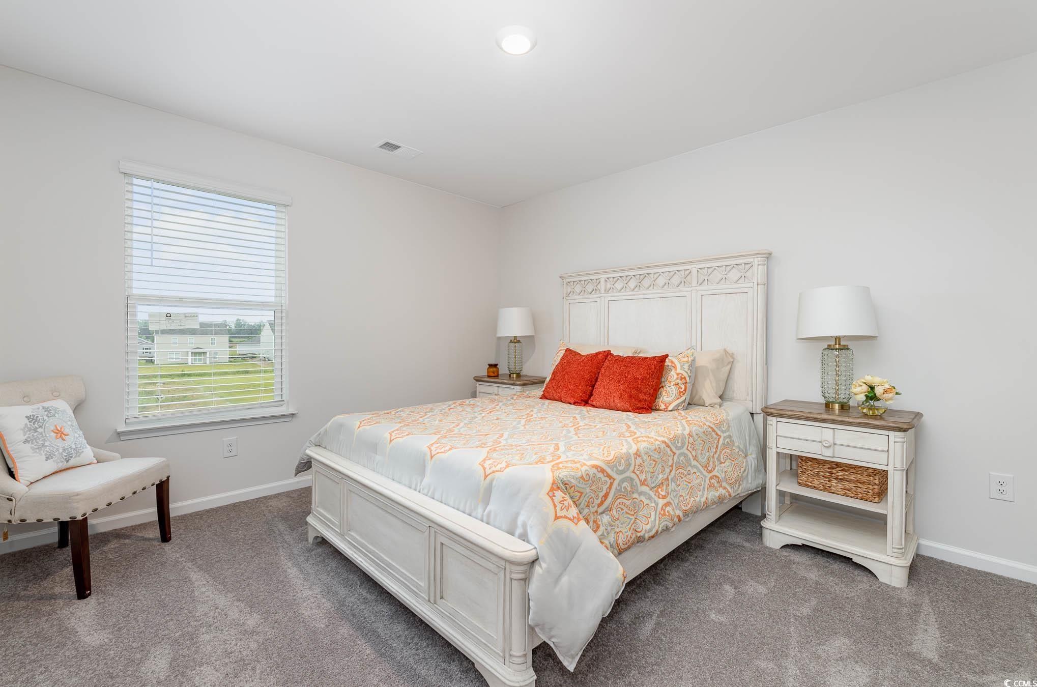 555 Strawberry Field Way, Galivants Ferry, South Carolina image 26