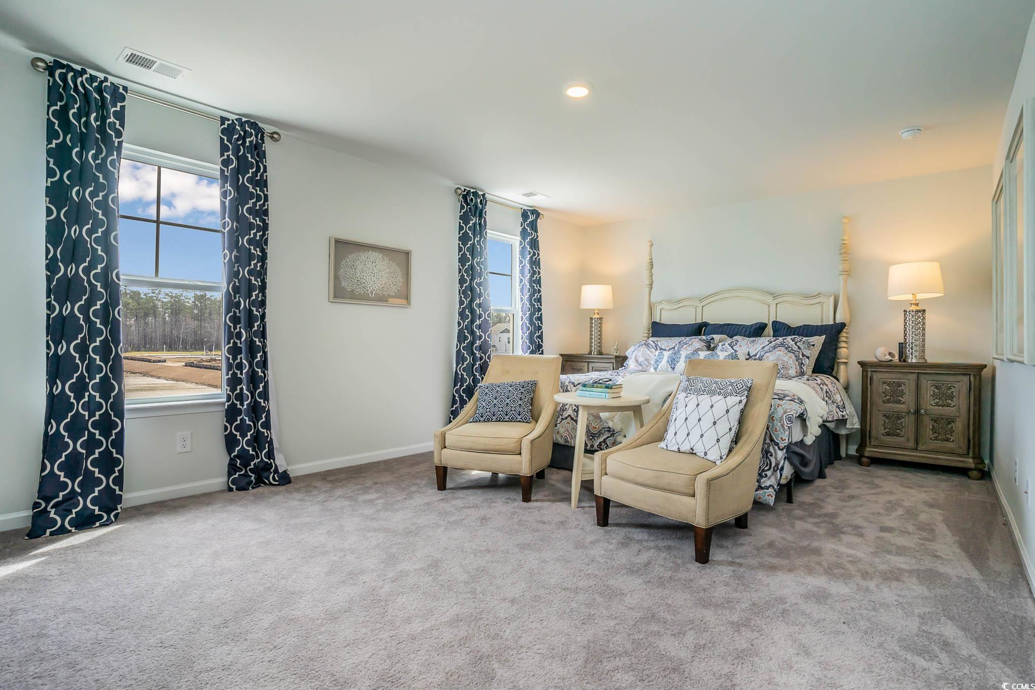 3575 Ashridge Way, Conway, South Carolina image 12