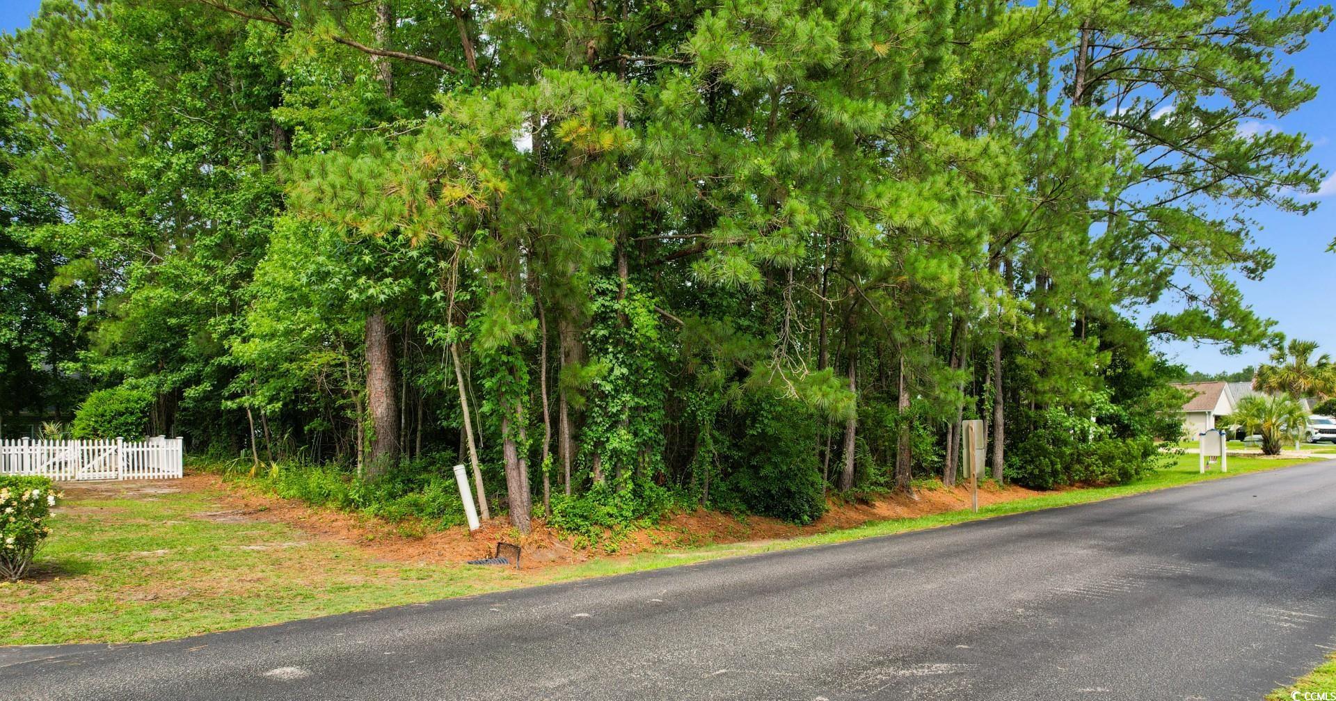 2281 Seaford Dr. Longs, SC 29568