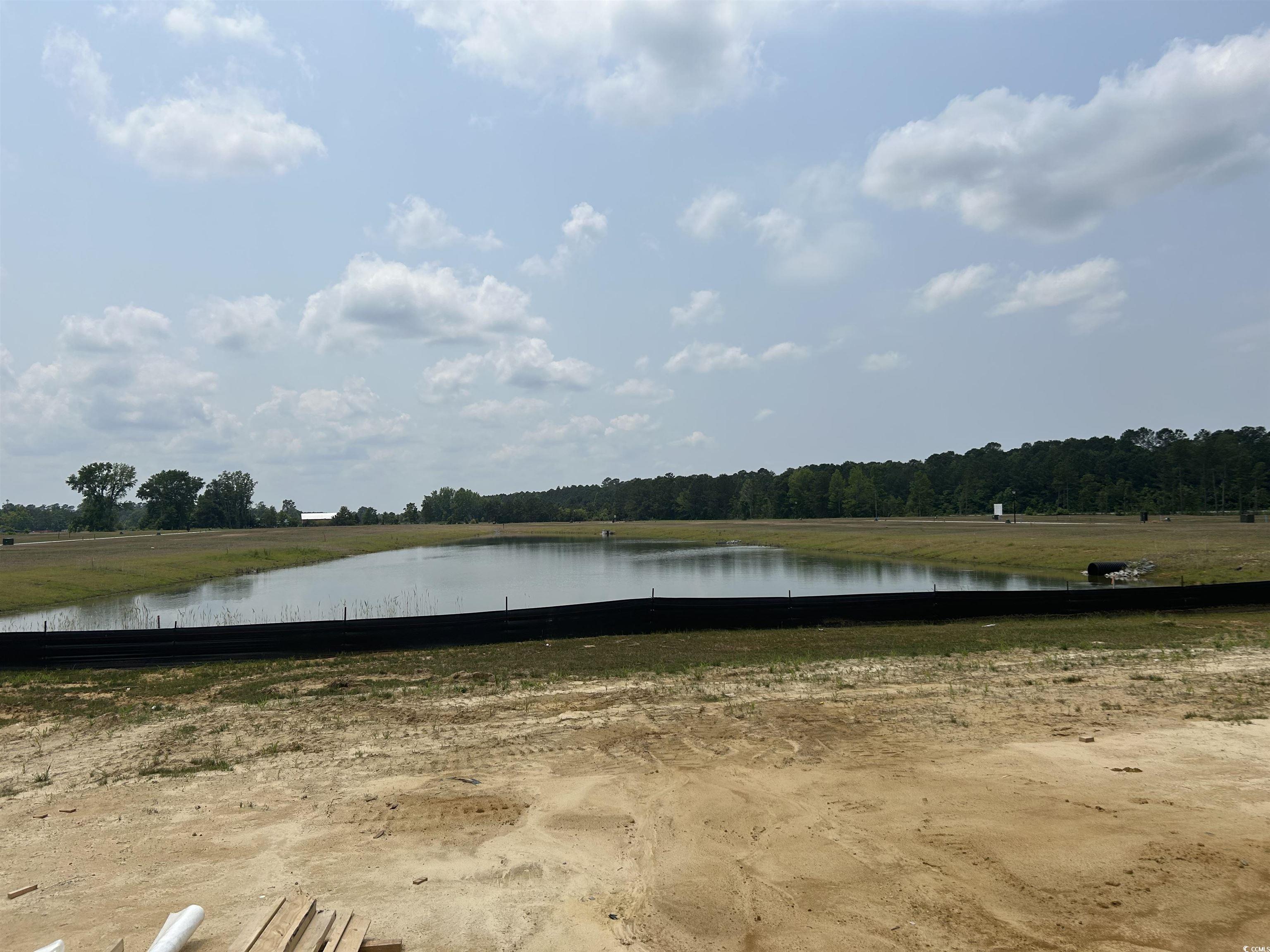 123 Westfield Circle, Conway, South Carolina image 10