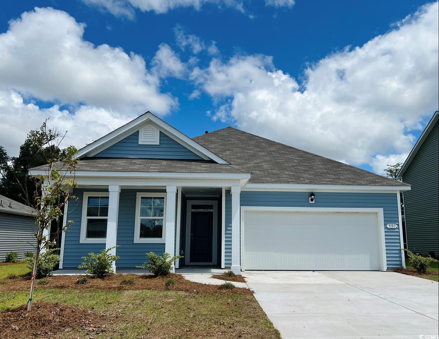 3595 Ashridge Way, Conway, South Carolina image 1