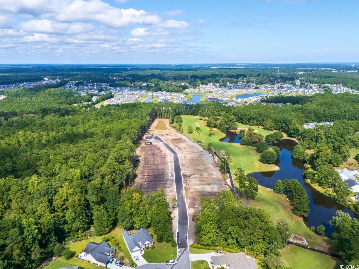 9724 Indigo Creek Blvd., Murrells Inlet, South Carolina image 18
