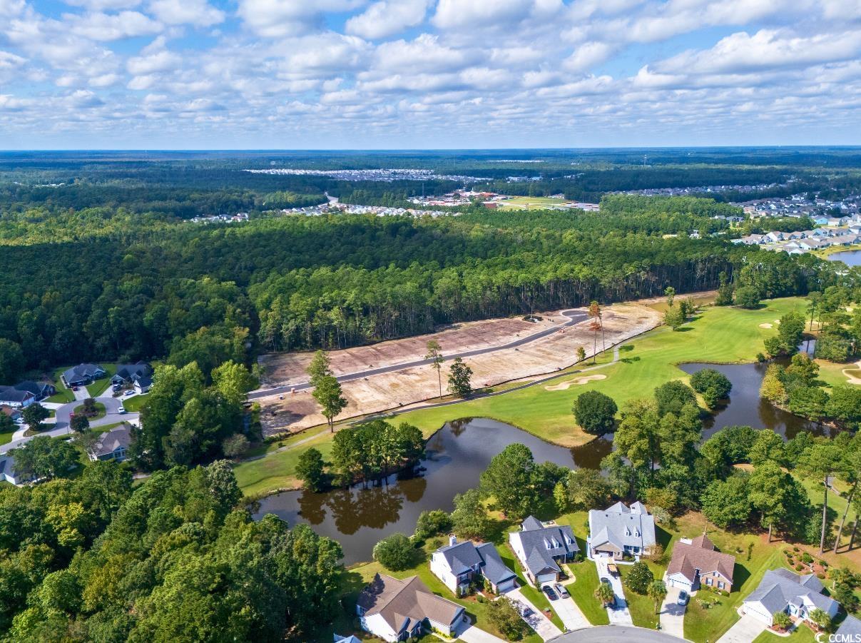 9724 Indigo Creek Blvd., Murrells Inlet, South Carolina image 19