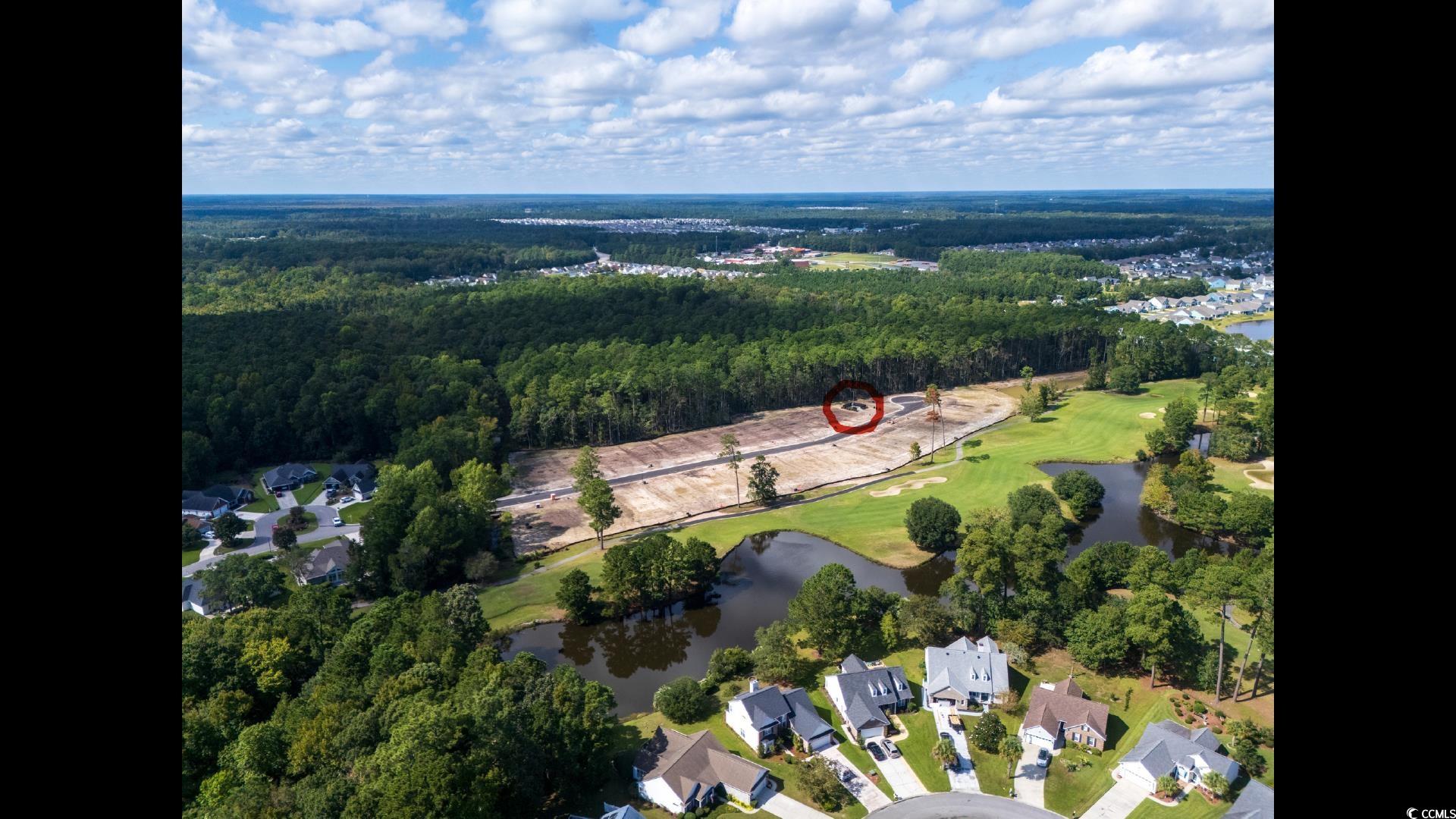 9724 Indigo Creek Blvd., Murrells Inlet, South Carolina image 2