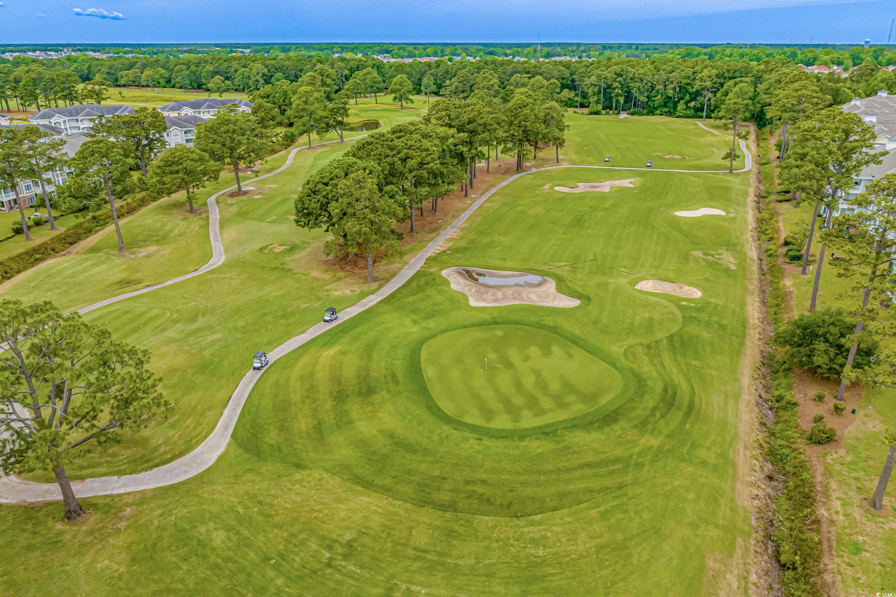 4890 Luster Leaf Circle #201, Myrtle Beach, South Carolina image 31