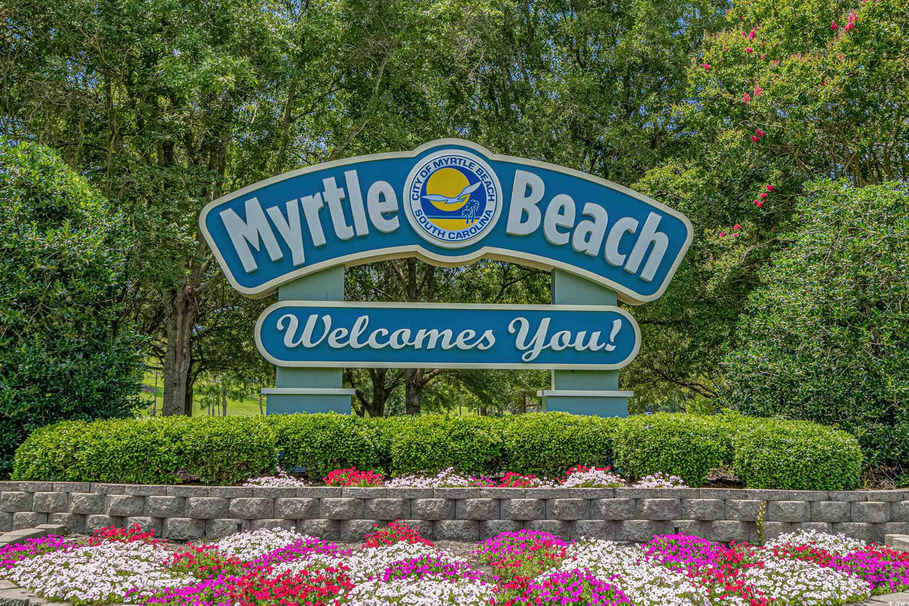 4890 Luster Leaf Circle #201, Myrtle Beach, South Carolina image 34
