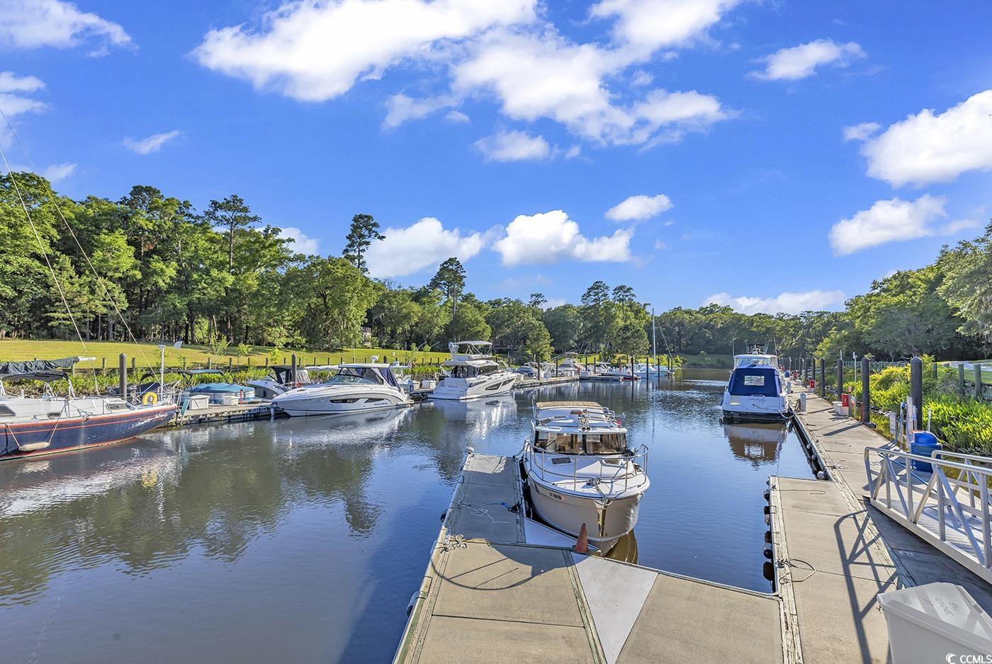 423 Parker Dr. #334, Pawleys Island, South Carolina image 28