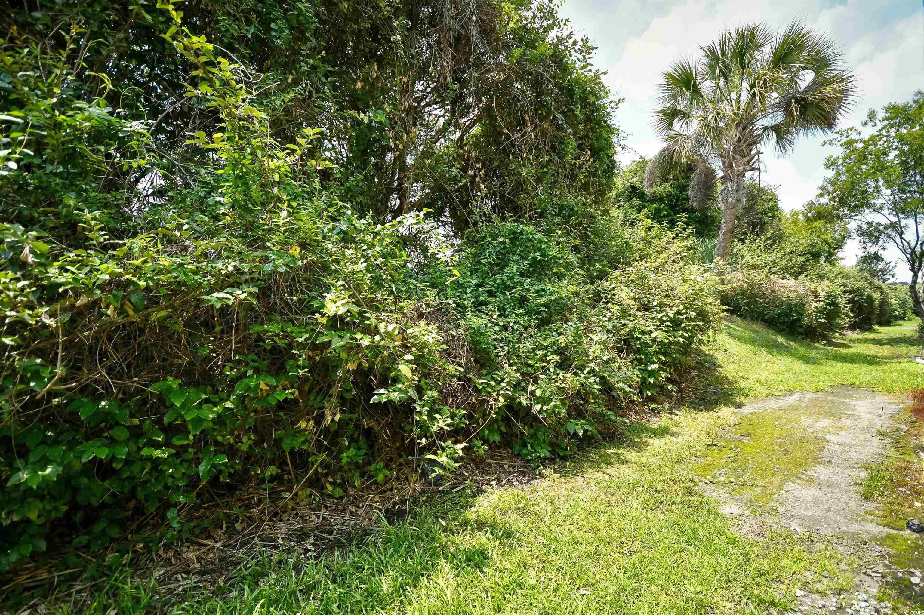 109 Butkus Dr. #2-1, Myrtle Beach, South Carolina image 29