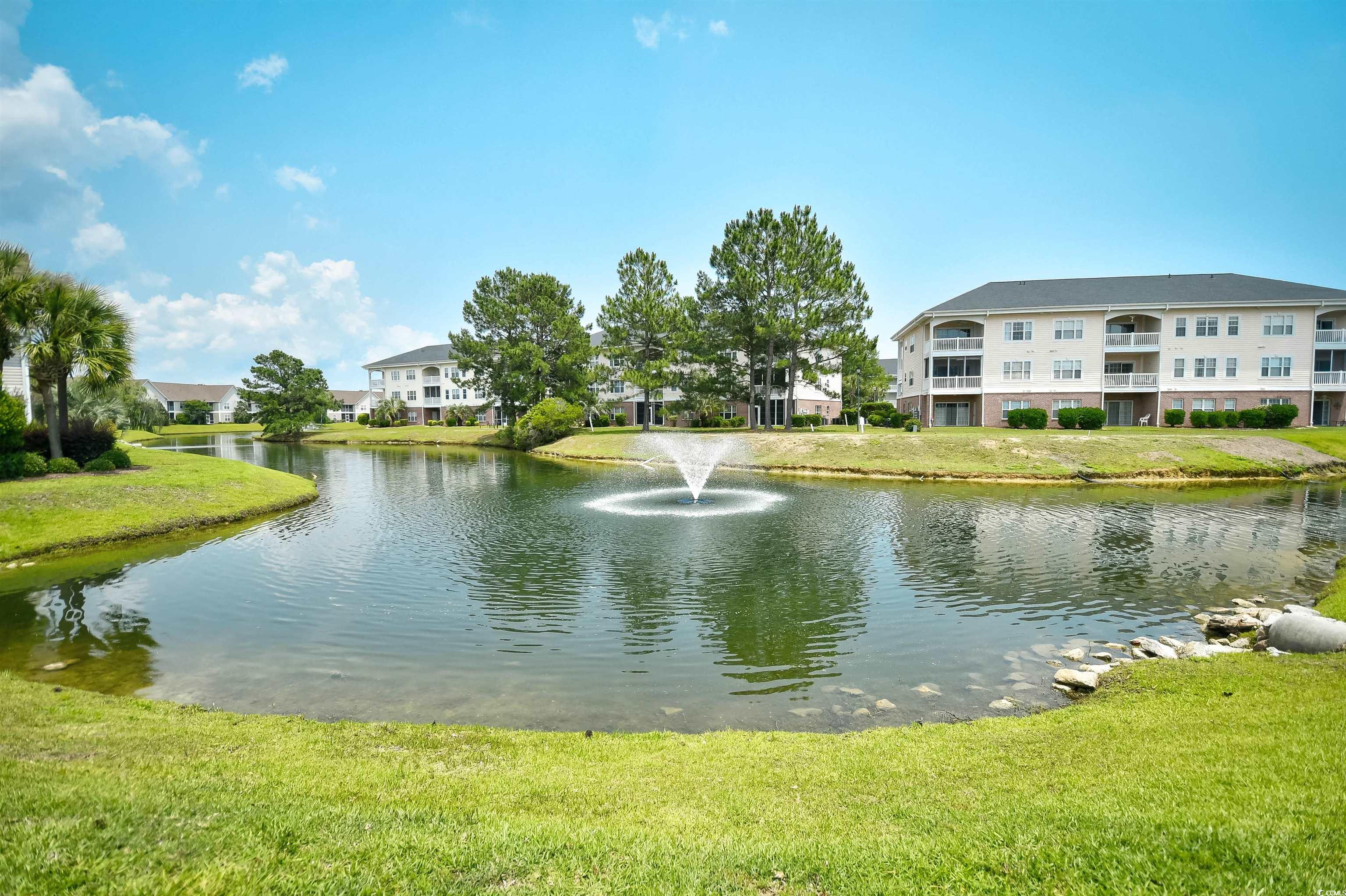 109 Butkus Dr. #2-1, Myrtle Beach, South Carolina image 33
