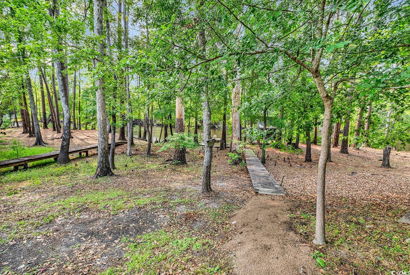 6161 Inman Circle, Conway, South Carolina image 32