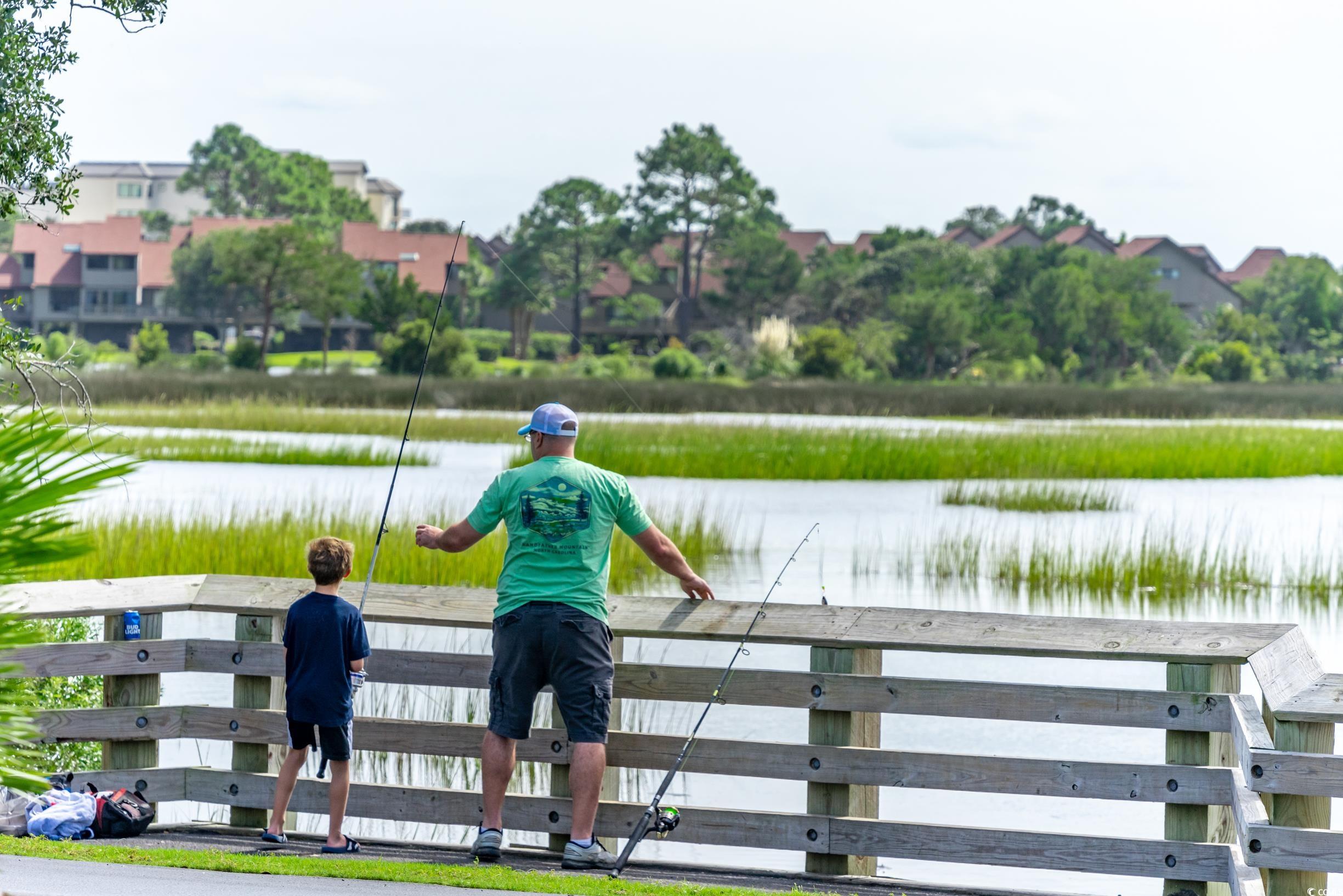 383 Oatland Lake Rd., Pawleys Island, South Carolina image 40