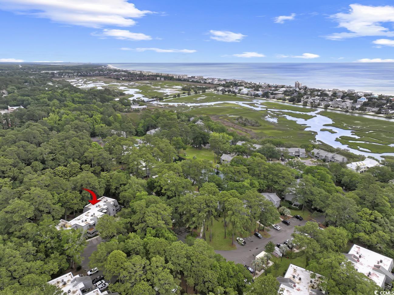 88 Salt Marsh Circle #22F, Pawleys Island, South Carolina image 31