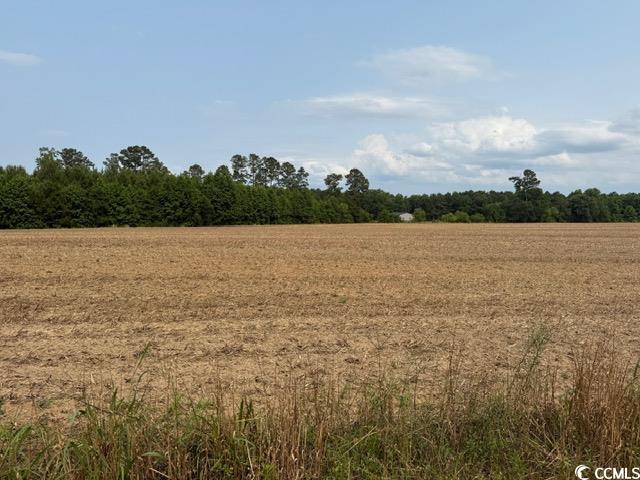 Lot 9 Mack Rd. Conway, SC 29526