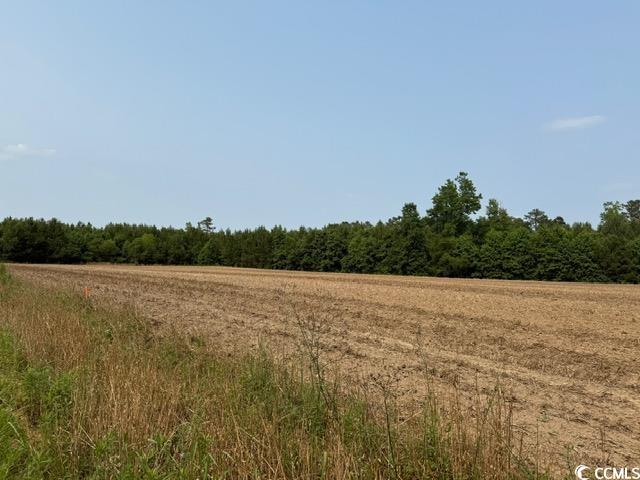 Lot 9 Mack Rd., Conway, South Carolina image 3