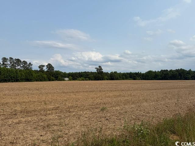 Lot 9 Mack Rd., Conway, South Carolina image 5
