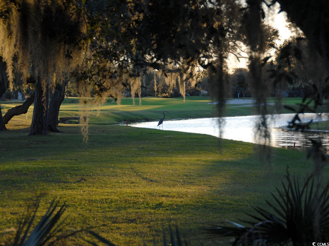 Lot 81 Brandon Way, Georgetown, South Carolina image 12
