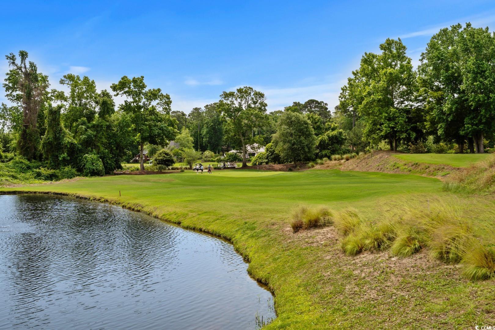 2241 Waterview Dr. #514, North Myrtle Beach, South Carolina image 33