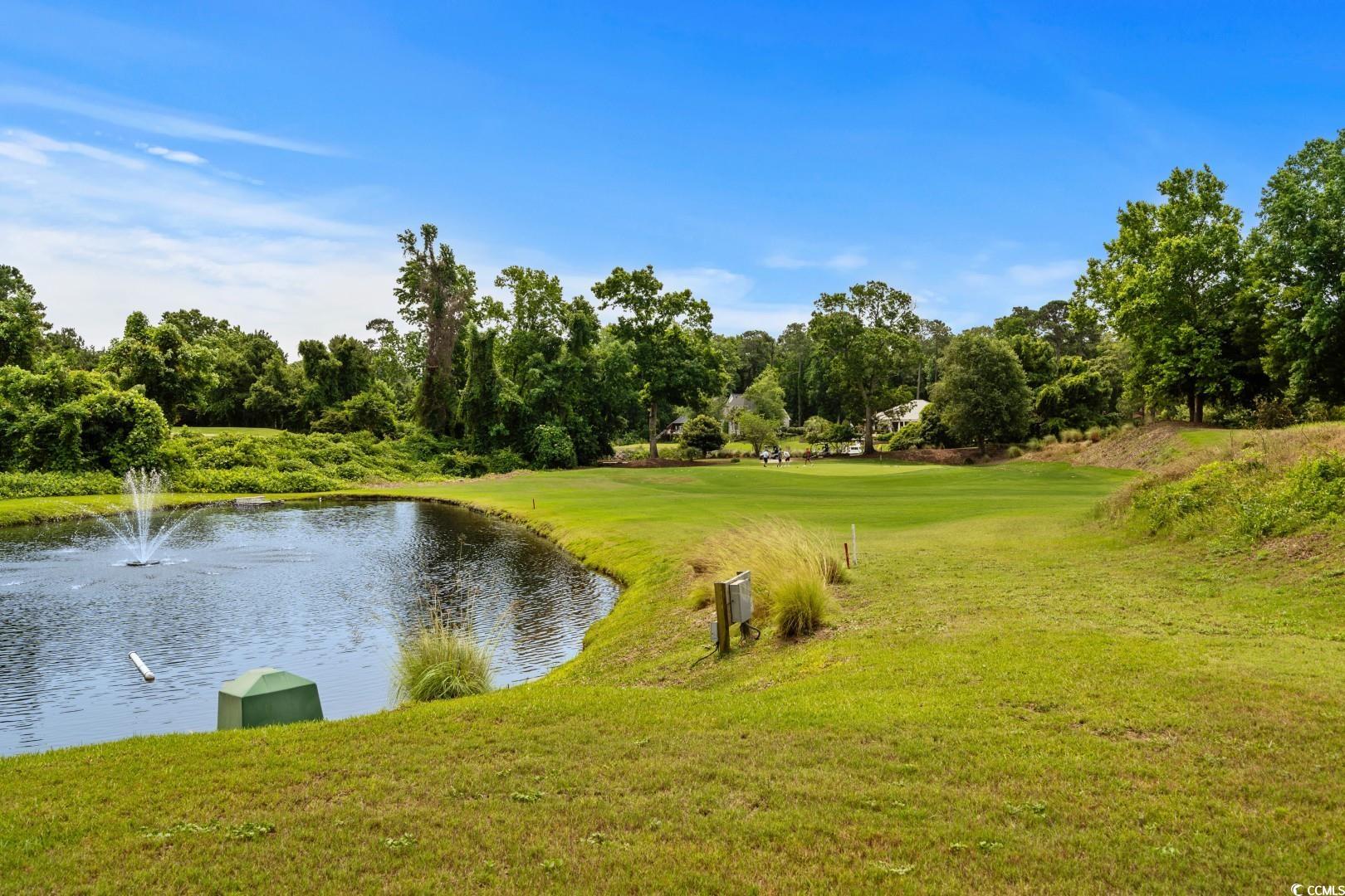 2241 Waterview Dr. #514, North Myrtle Beach, South Carolina image 34
