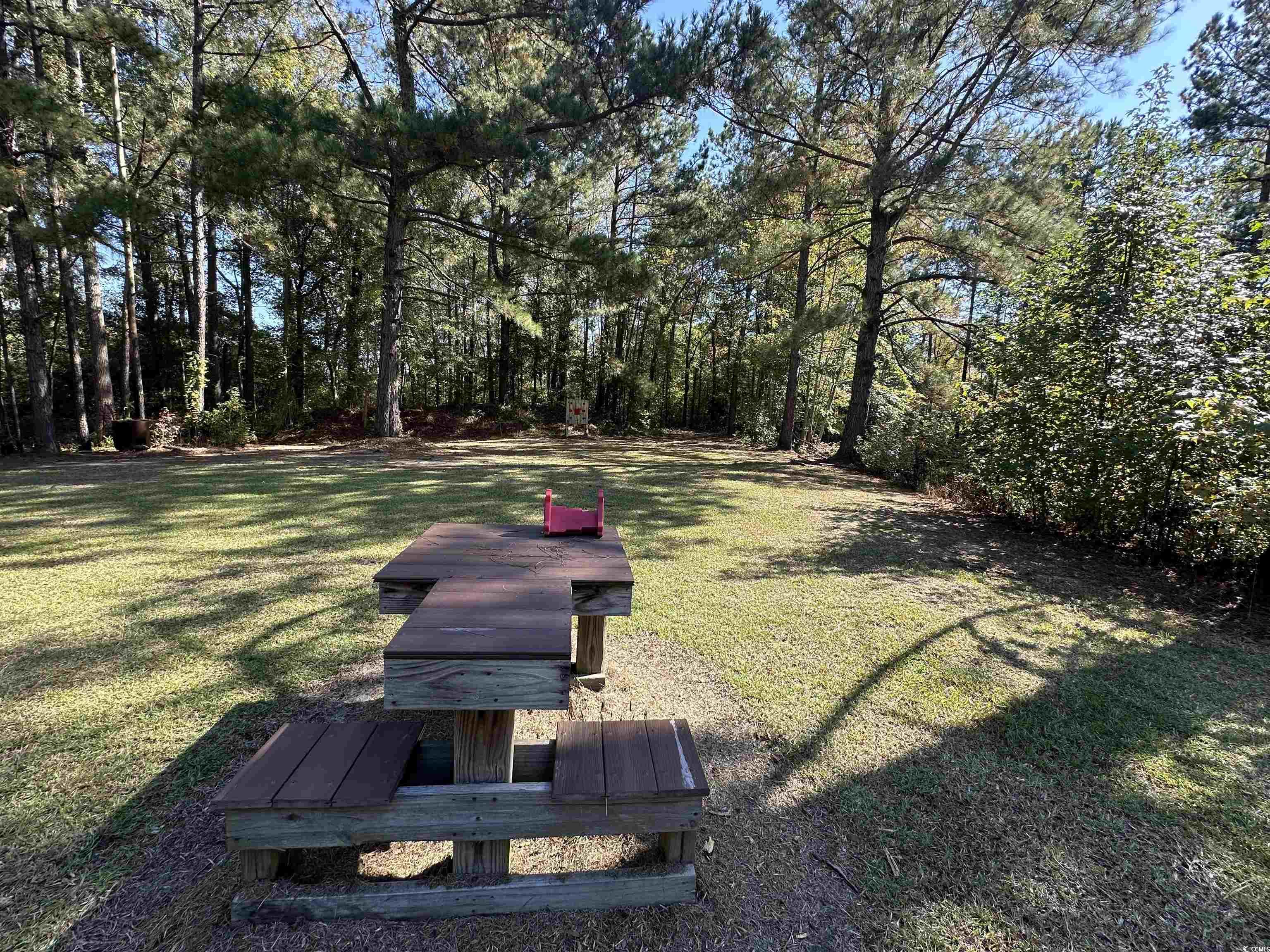 5.47 Acres-TBD High Hill Rd., Scranton, South Carolina image 11