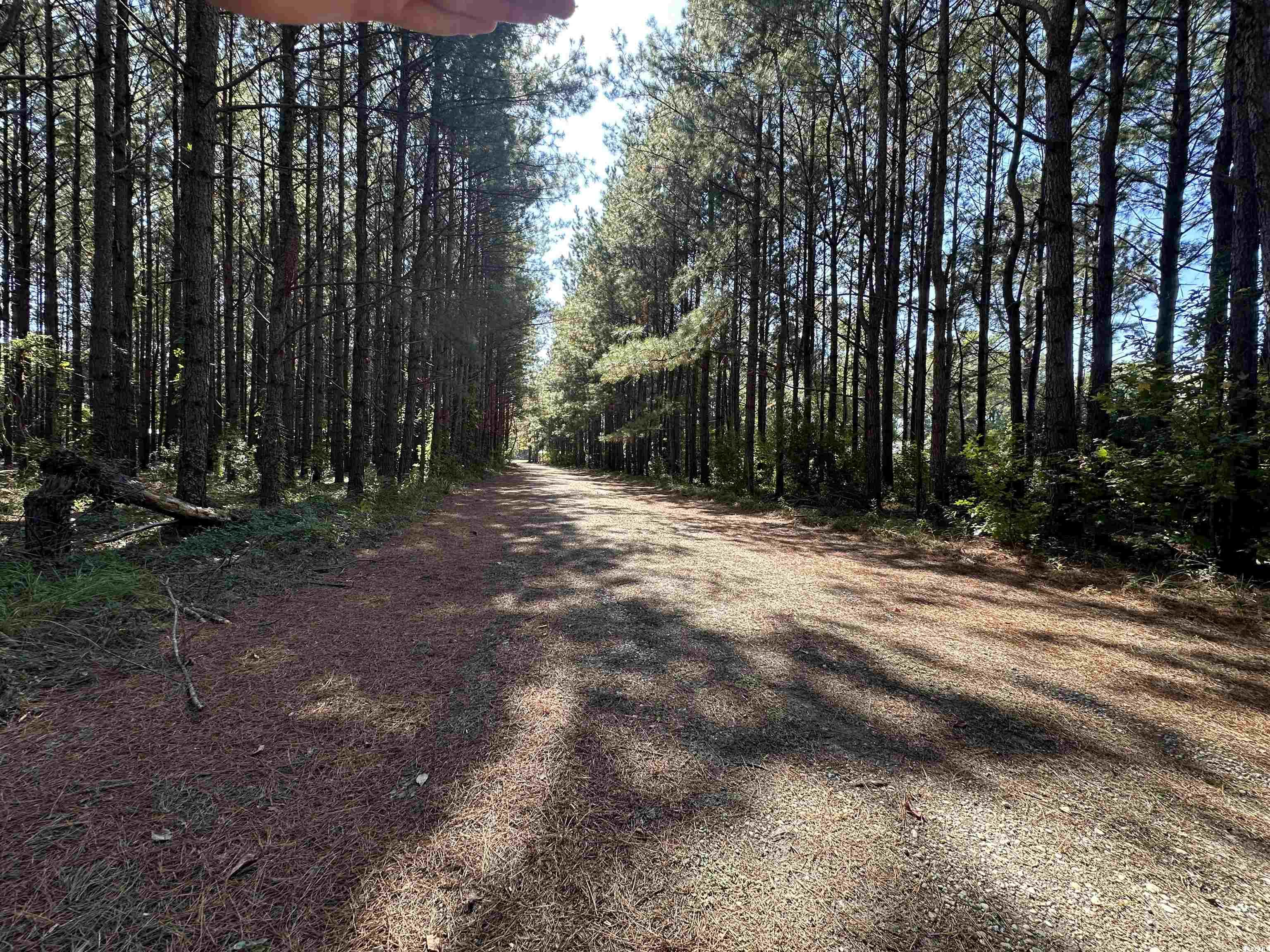 5.47 Acres-TBD High Hill Rd., Scranton, South Carolina image 24