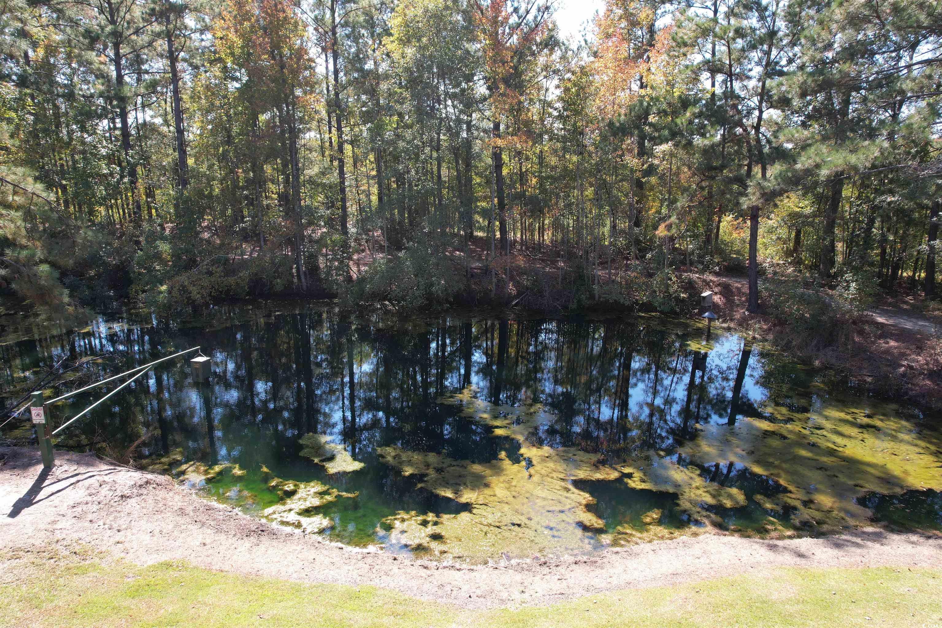 5.47 Acres-TBD High Hill Rd., Scranton, South Carolina image 4