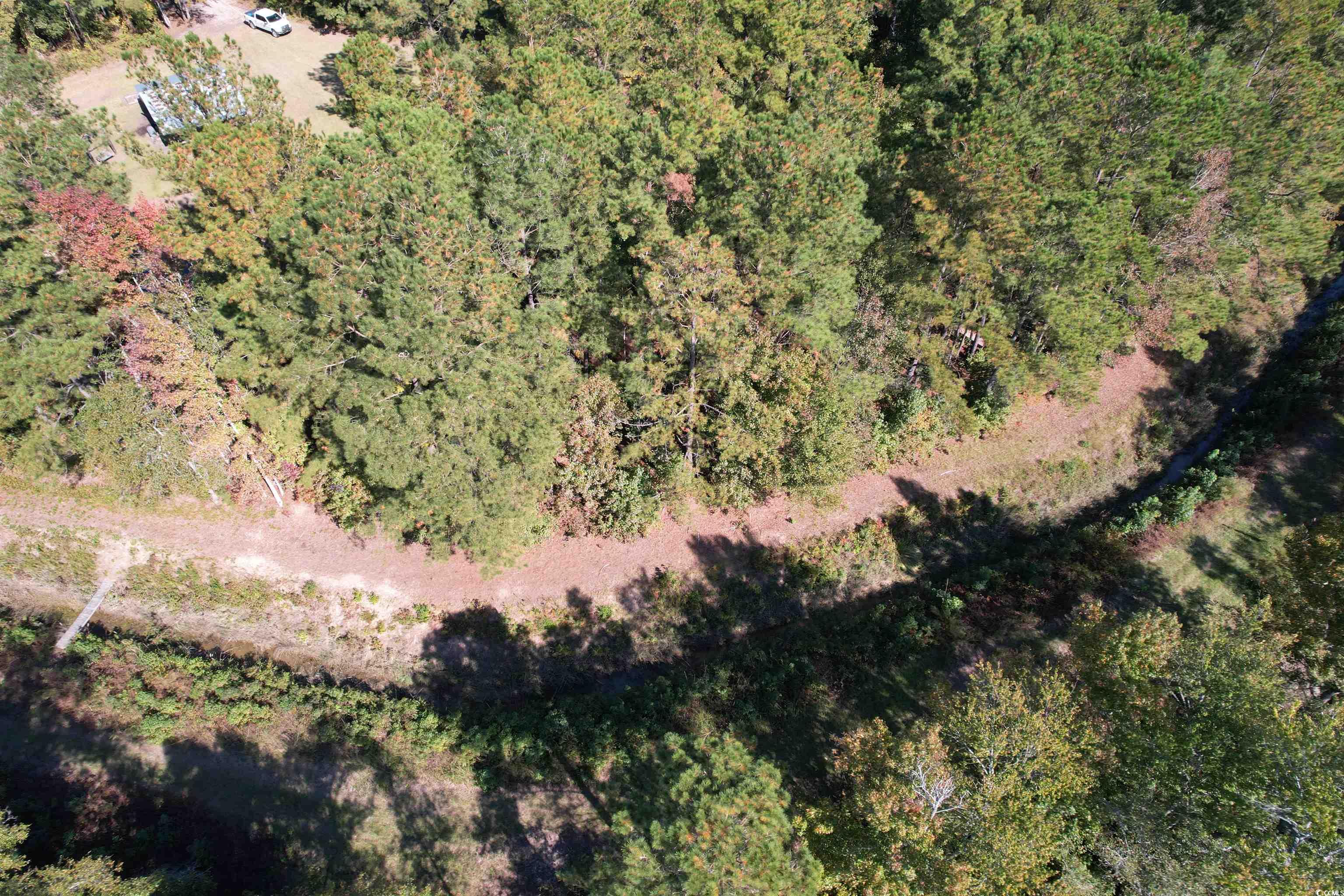 5.47 Acres-TBD High Hill Rd., Scranton, South Carolina image 5