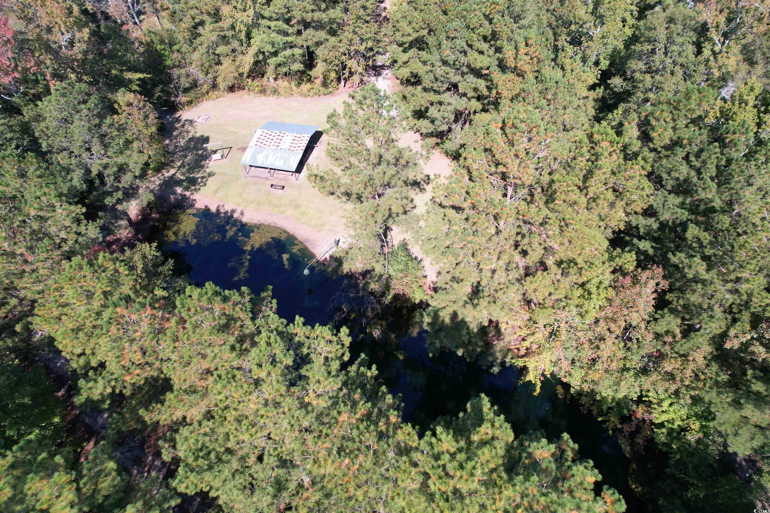 5.47 Acres-TBD High Hill Rd., Scranton, South Carolina image 9