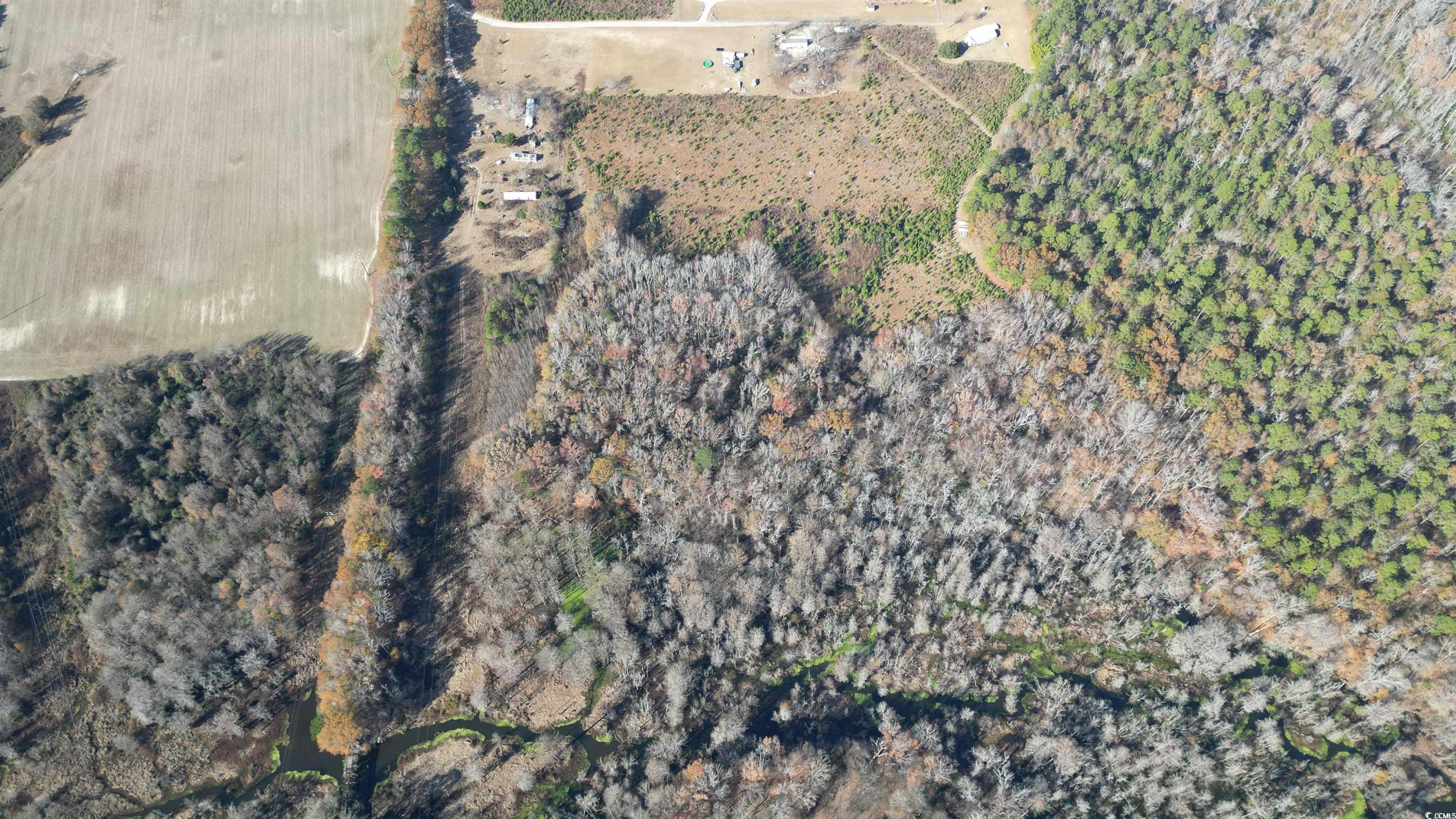 Tract B & C Case St., Darlington, South Carolina image 3