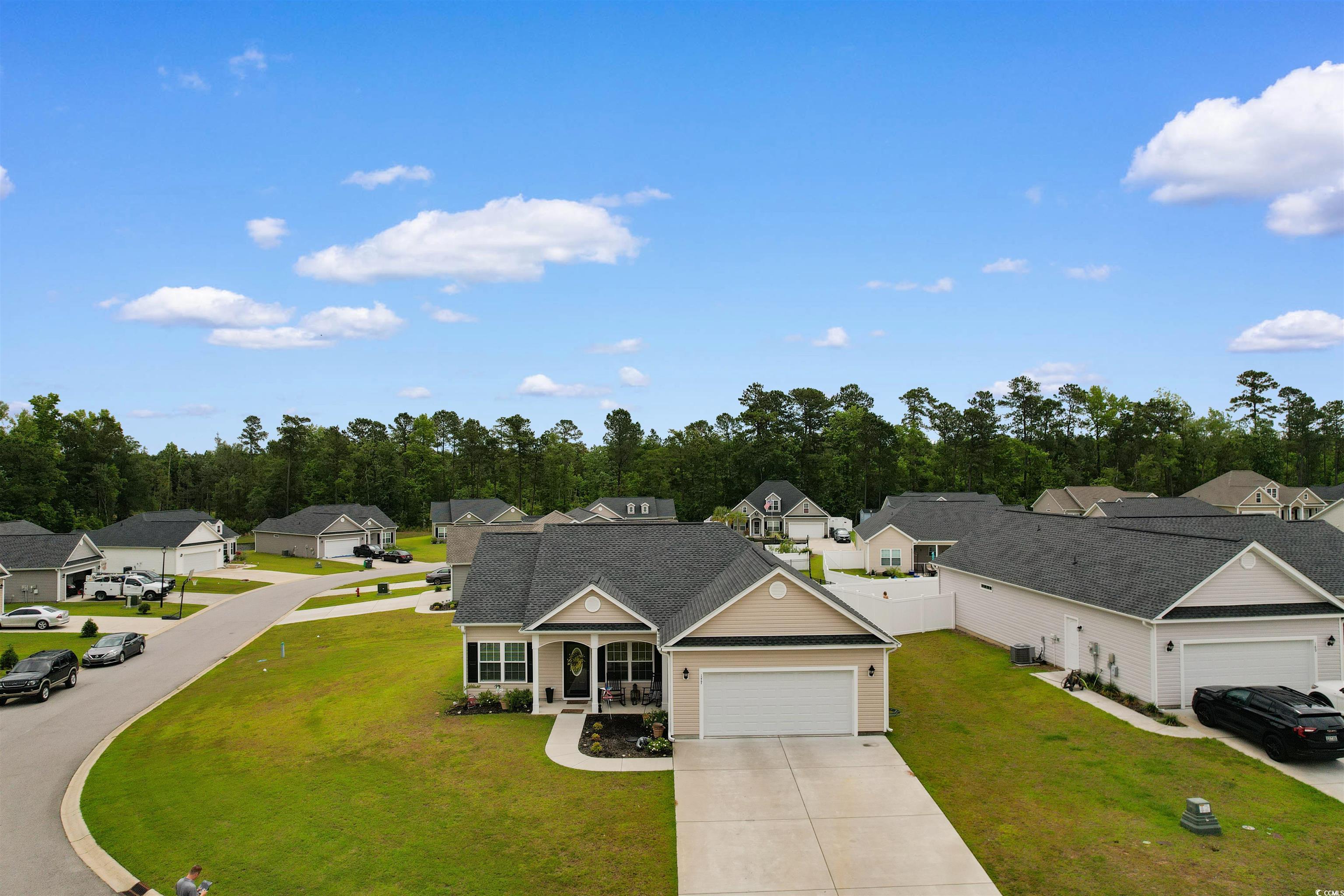 177 Baylee Circle, Galivants Ferry, South Carolina image 2