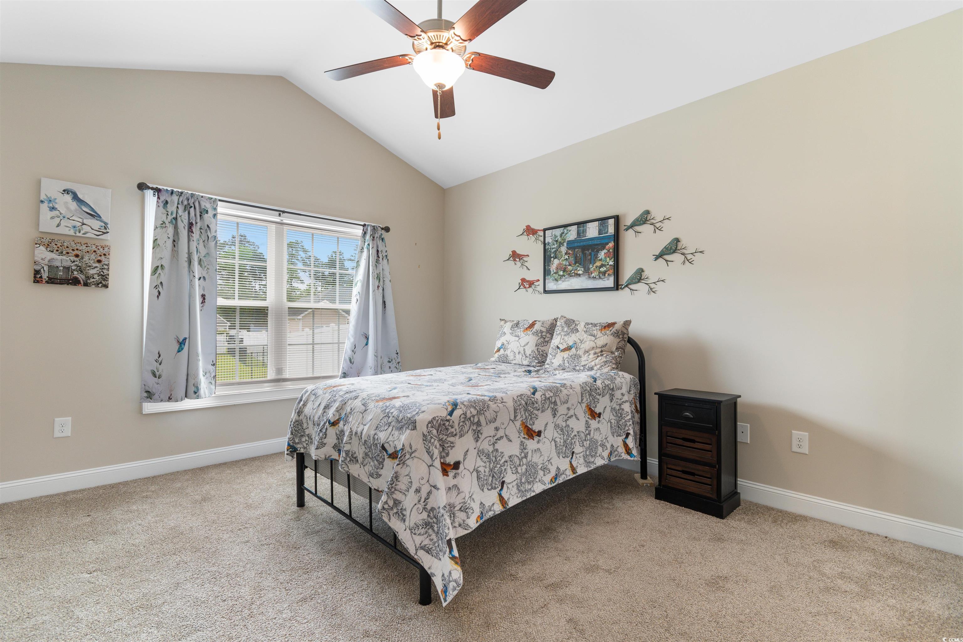 177 Baylee Circle, Galivants Ferry, South Carolina image 22