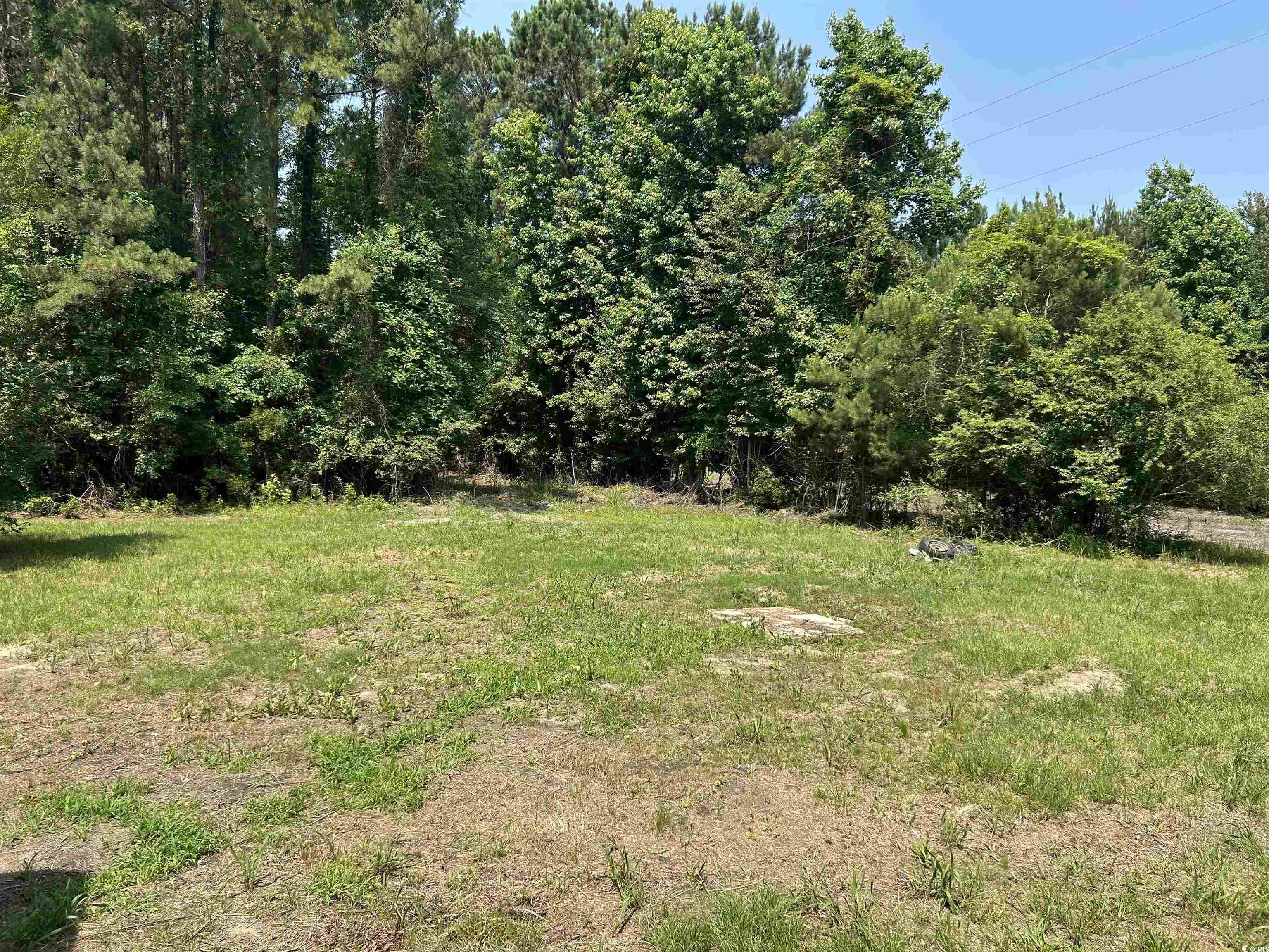 7462 Friendfield Rd., Effingham, South Carolina image 14